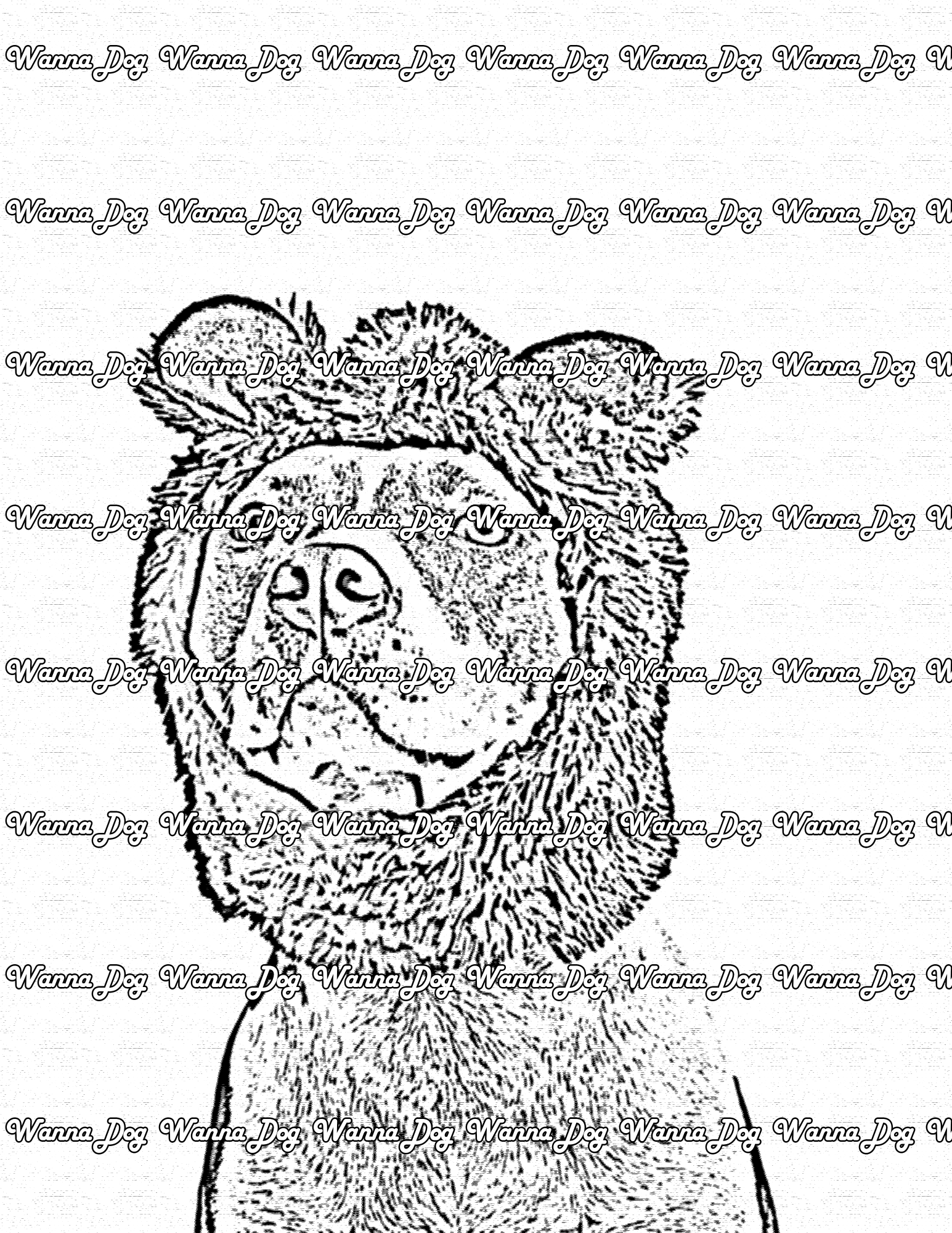 Pitbull Coloring Pages of a Pitbull with a furry hat on