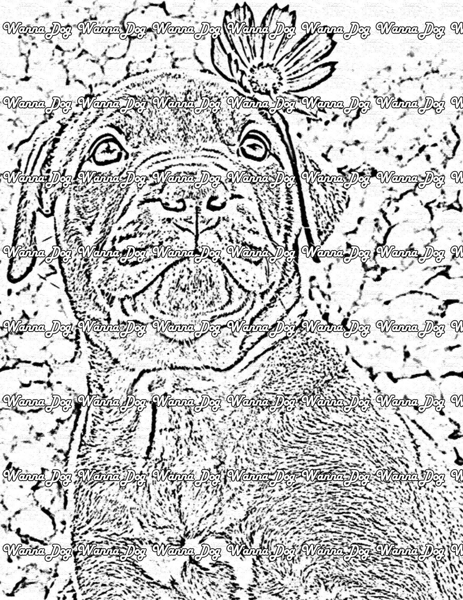 Pitbull Coloring Pages of a Pitbull outside with a flower