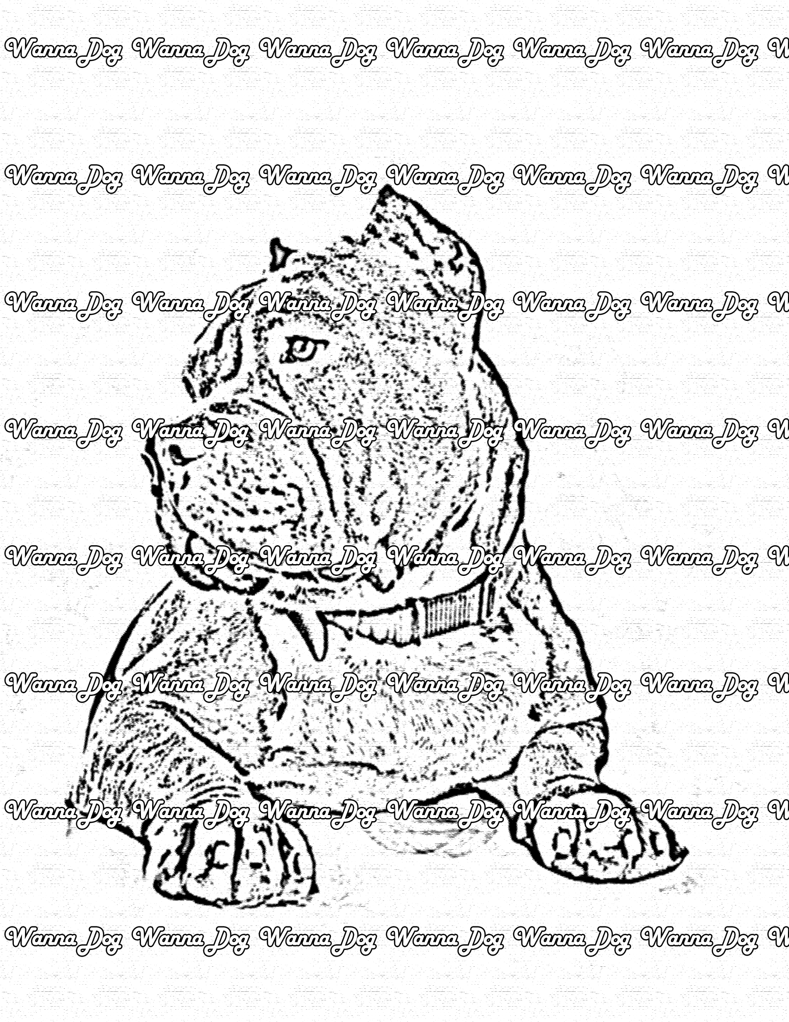 Pitbull Coloring Pages of a Pitbull sitting and looking away from the camera