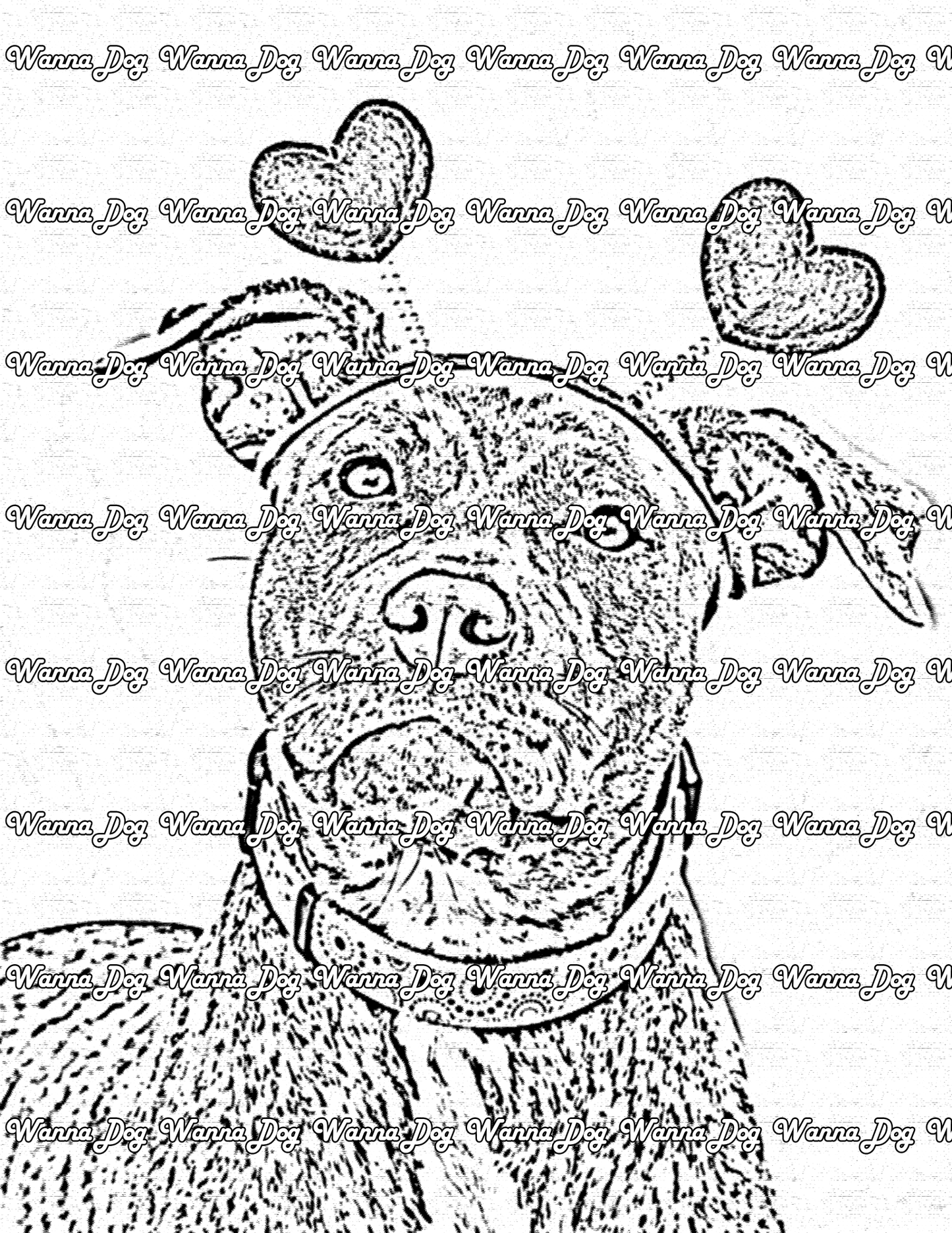 Pitbull Coloring Pages of a Pitbull with a headband of hearts