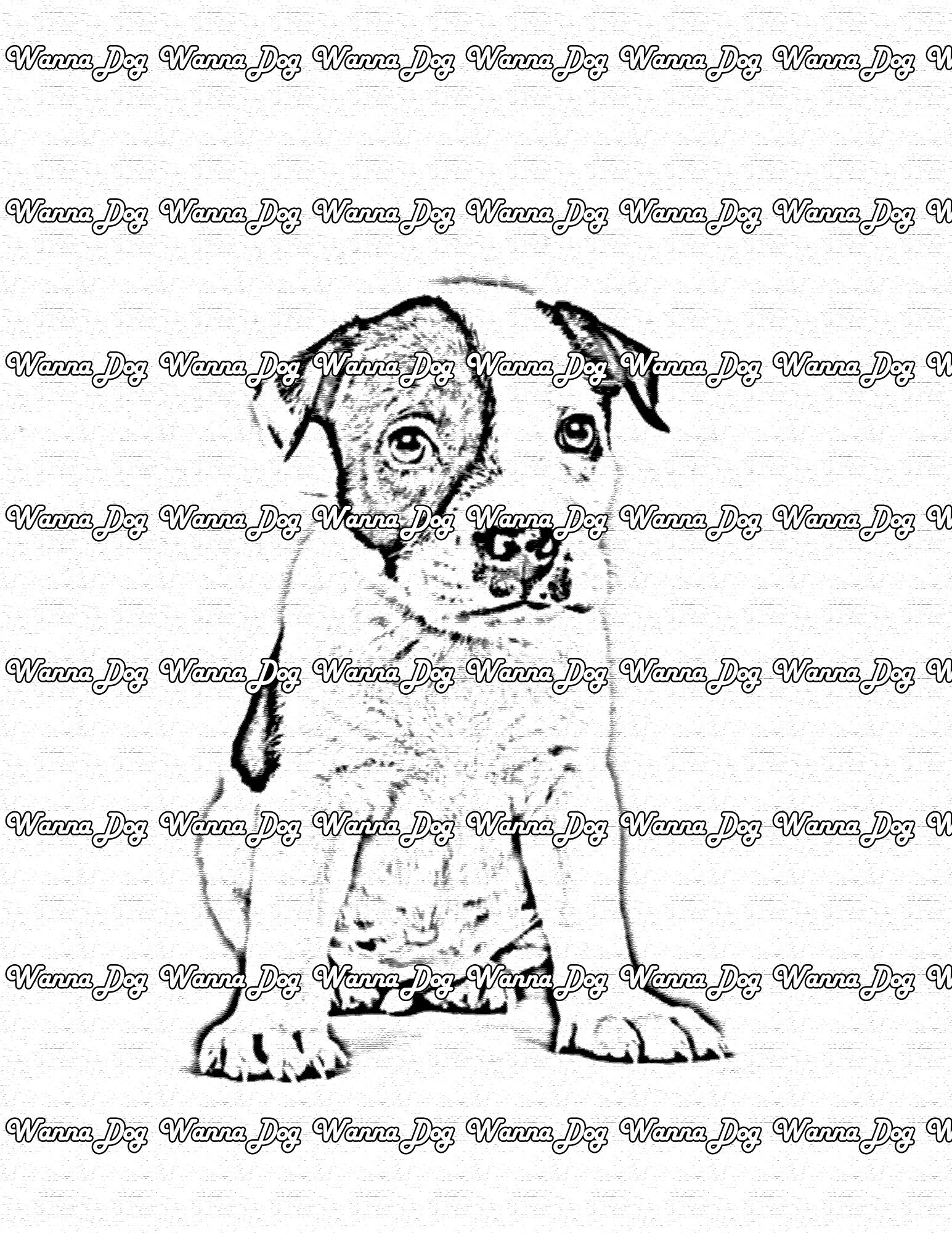Pitbull Puppy Coloring Page of a Pitbull Puppy sitting