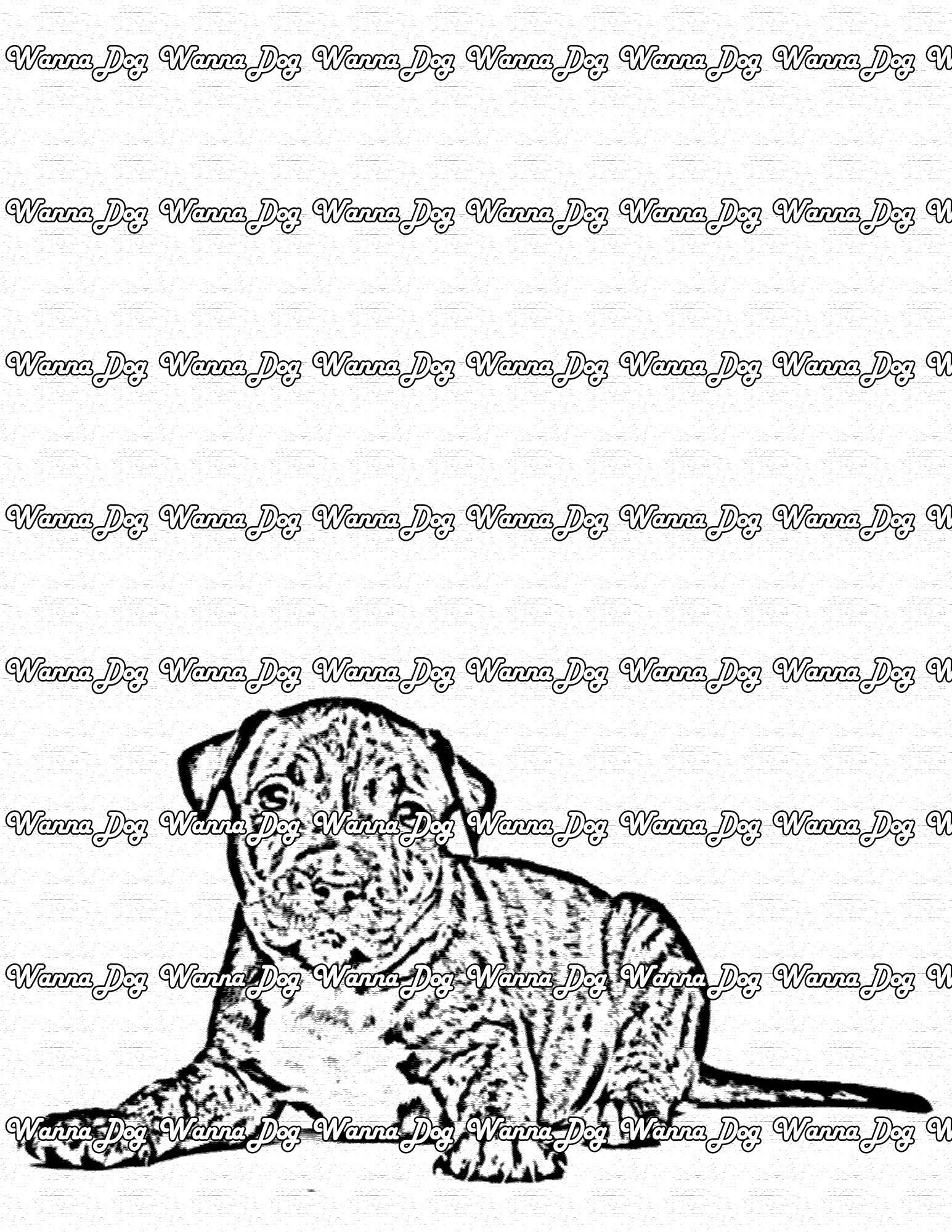 Pitbull Puppy Coloring Page of a Pitbull Puppy sitting down and looking at the camera