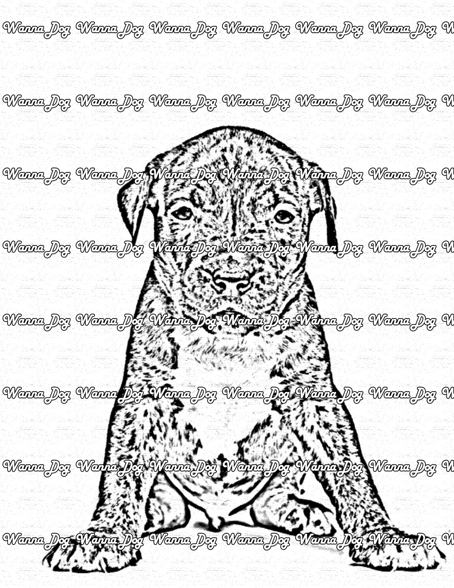 Pitbull Puppy Coloring Page of a Pitbull Puppy kneeling