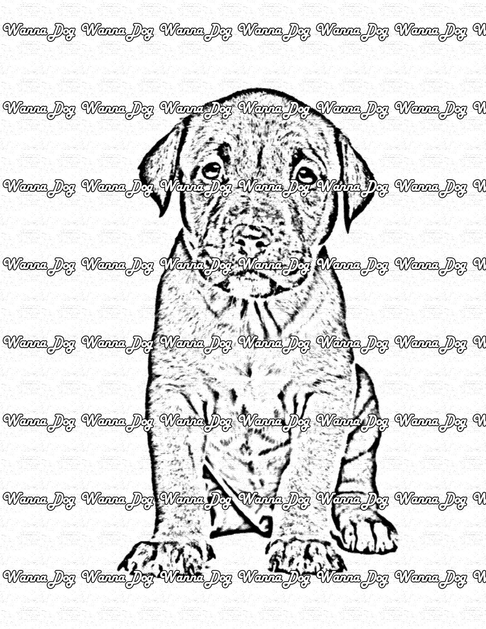 Pitbull Puppy Coloring Page of a Pitbull Puppy posing