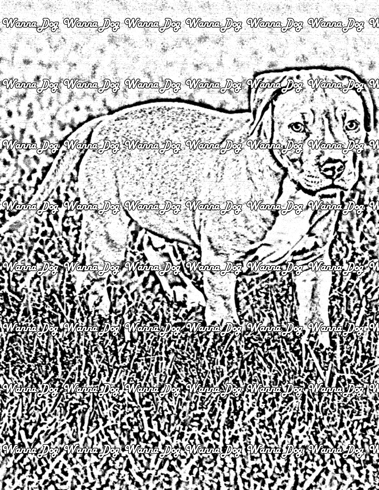 Pitbull Puppy Coloring Page of a Pitbull Puppy standing in the grass