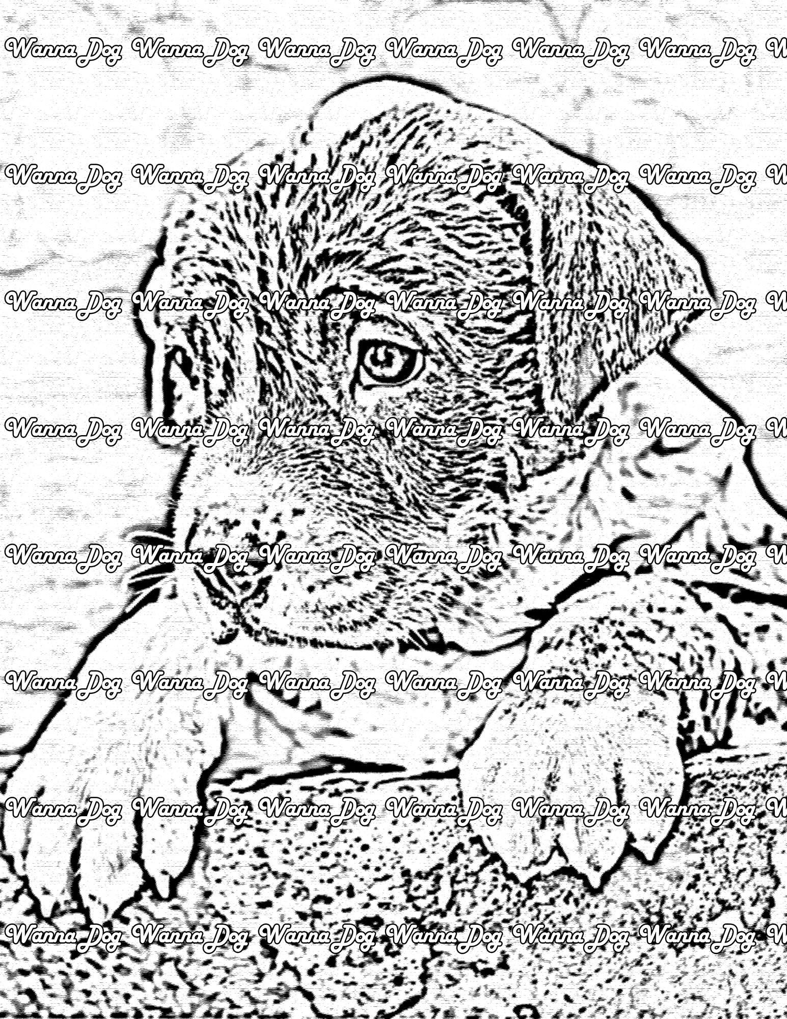 Pitbull Puppy Coloring Page of a Pitbull Puppy leaning on a rock