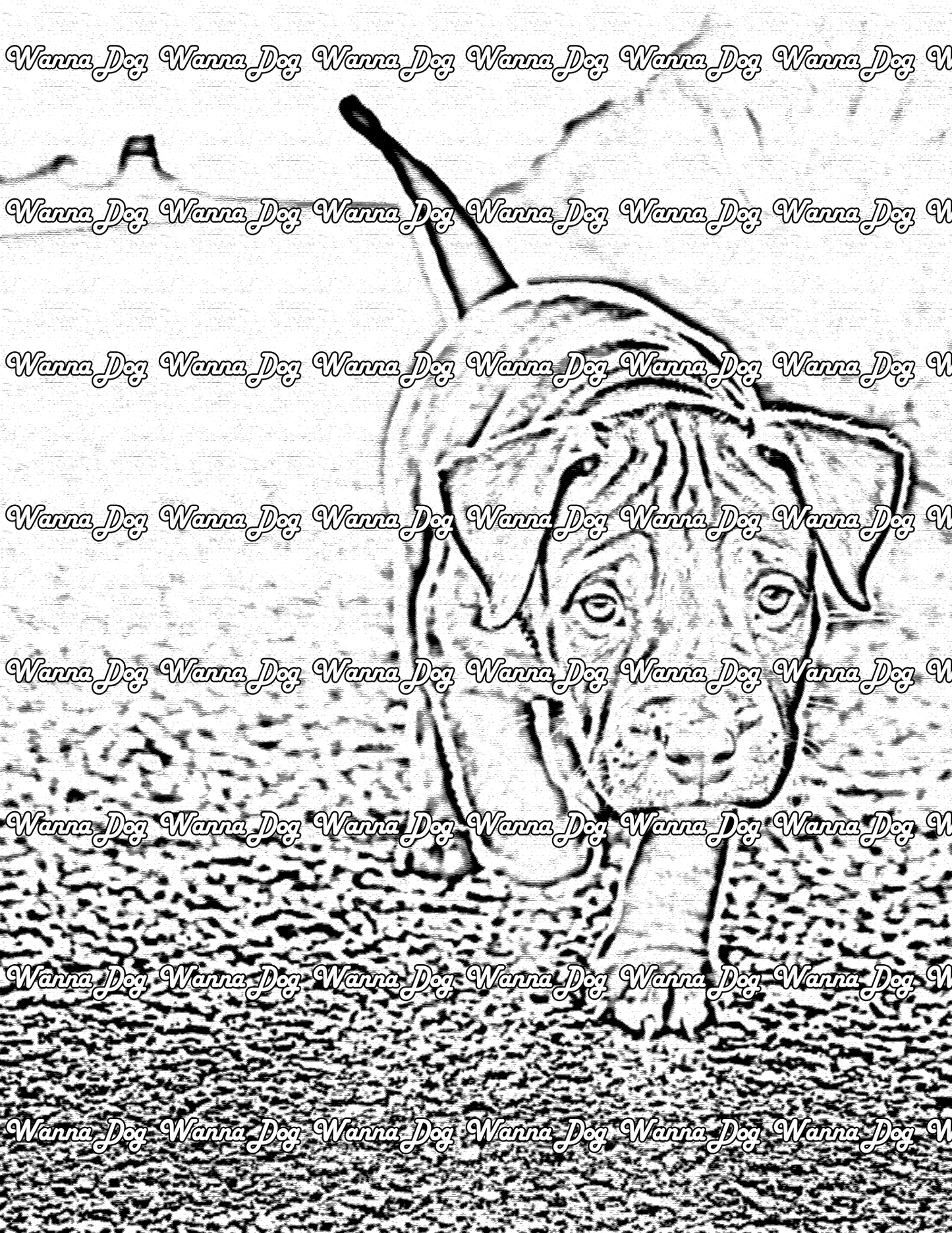 Pitbull Puppy Coloring Page of a Pitbull Puppy on a hike