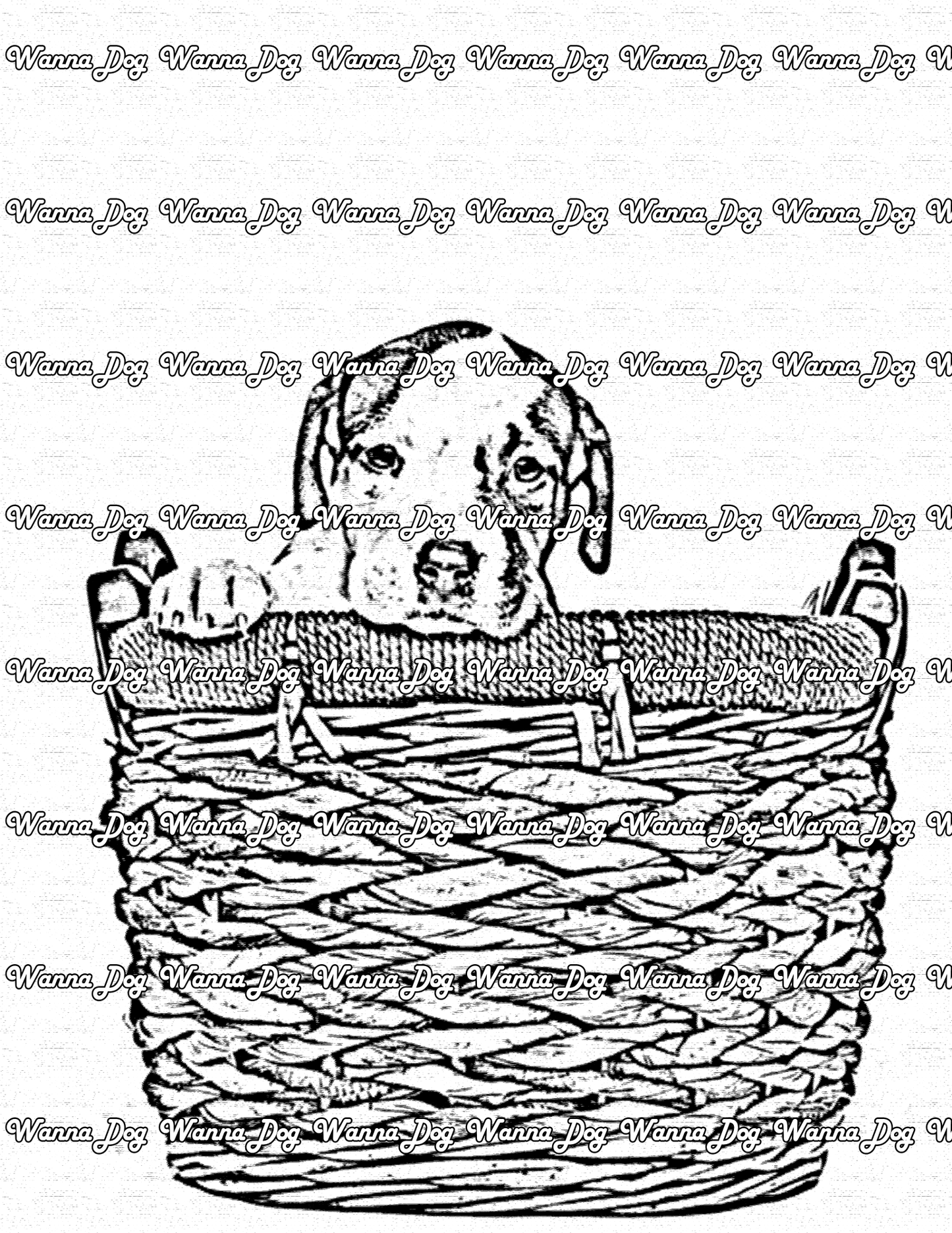 Pitbull Puppy Coloring Page of a Pitbull Puppy sitting in a basket