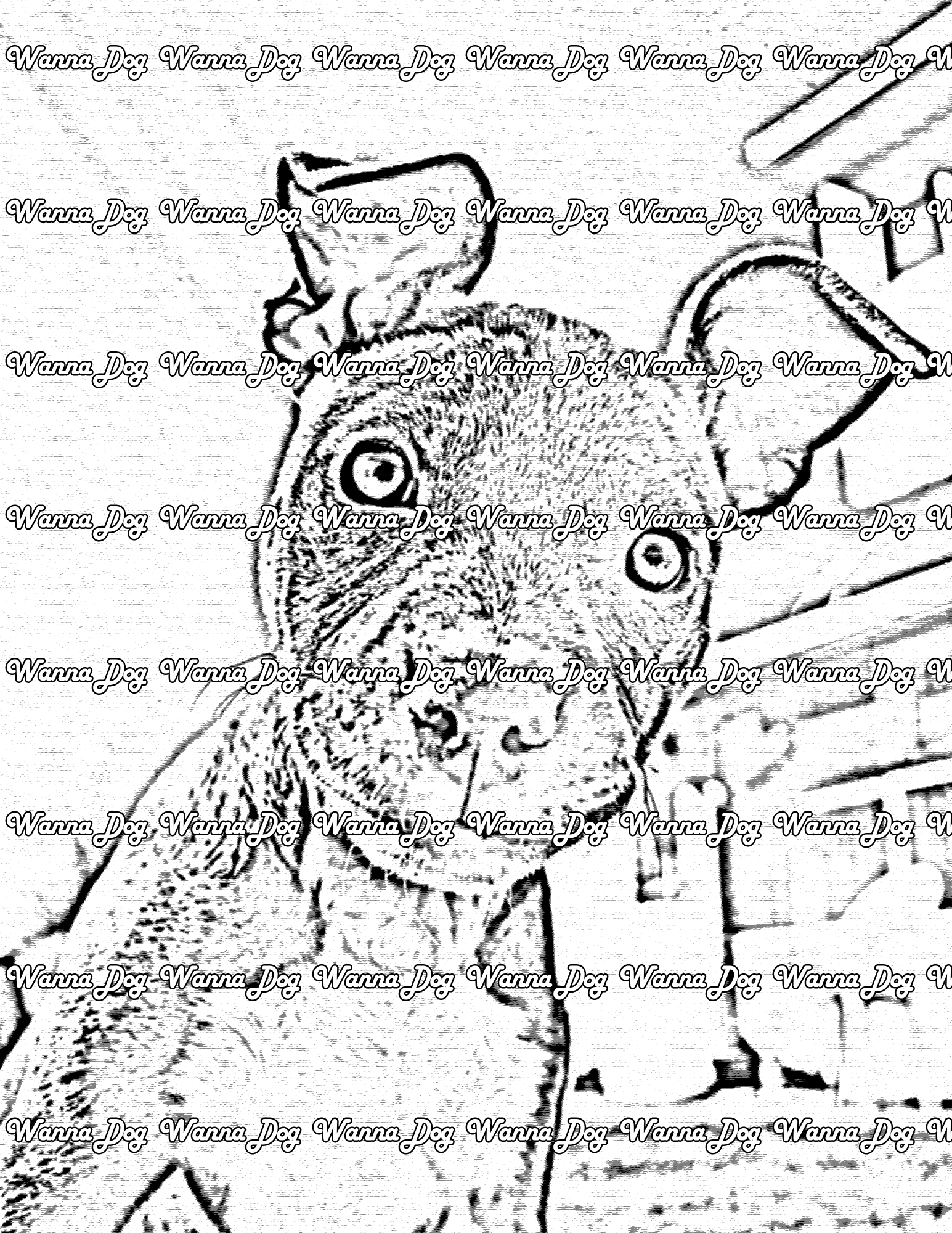 Pitbull Puppy Coloring Page of a Pitbull Puppy outside and looking at the camera