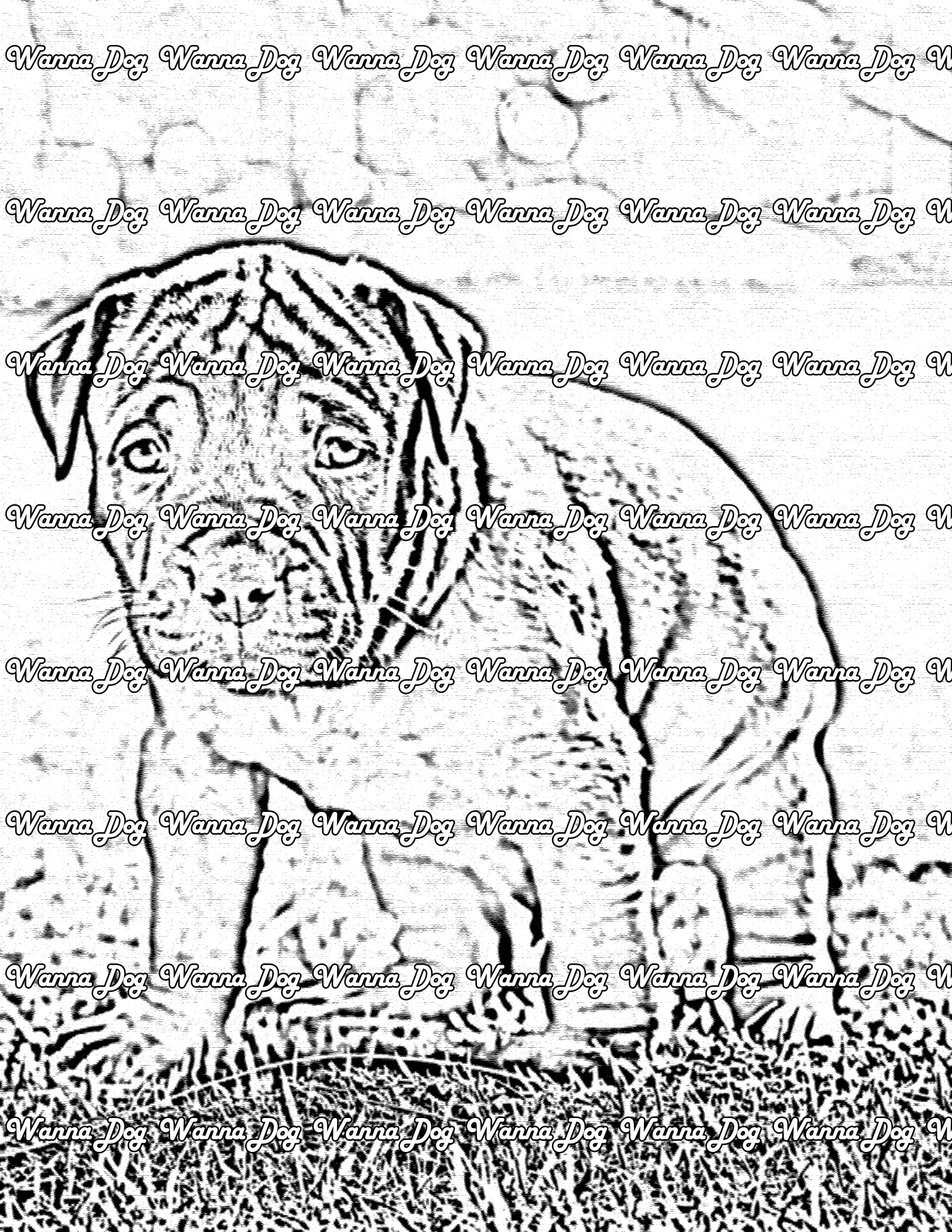 Pitbull Puppy Coloring Page of a Pitbull Puppy standing outside in grass