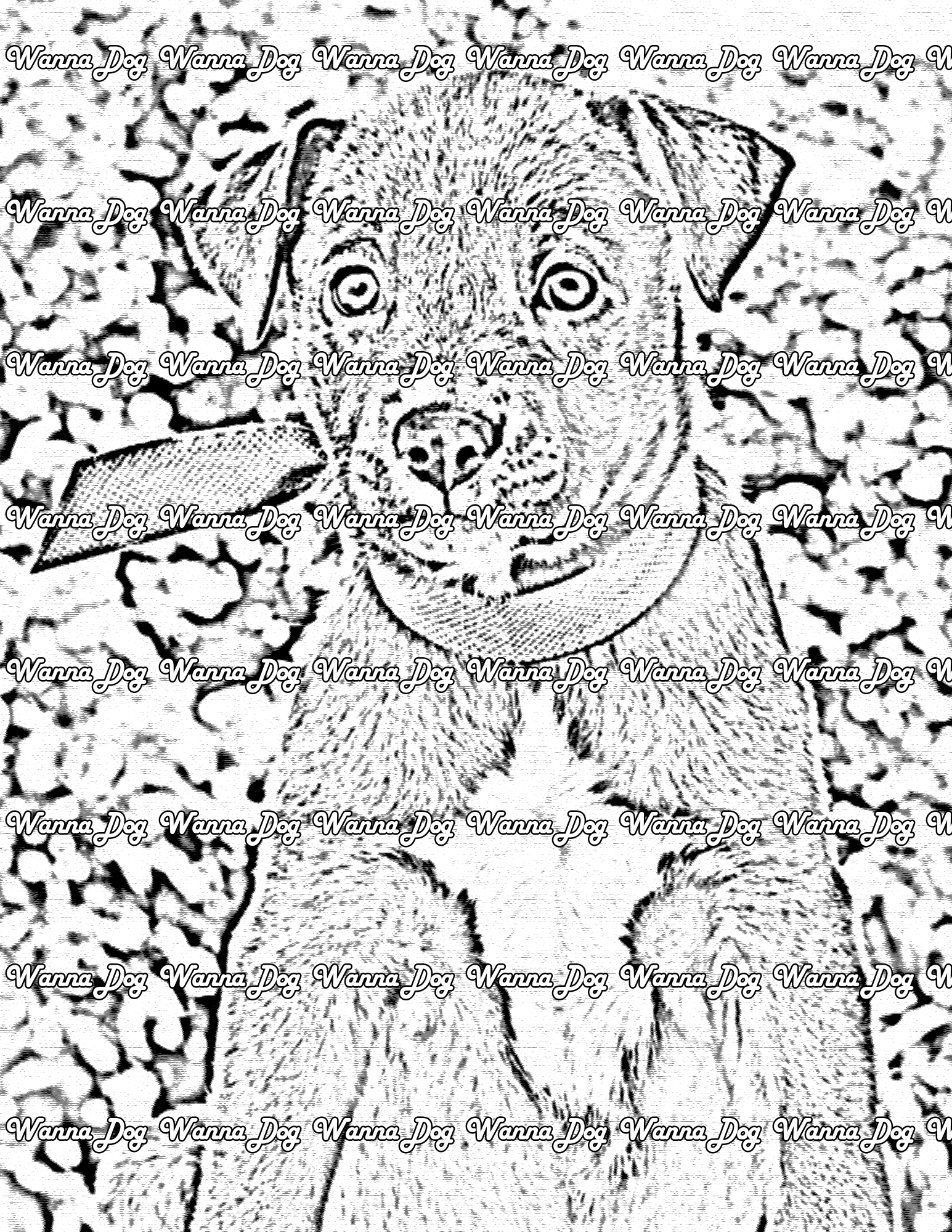 Pitbull Puppy Coloring Page of a Pitbull Puppy wearing a scarf