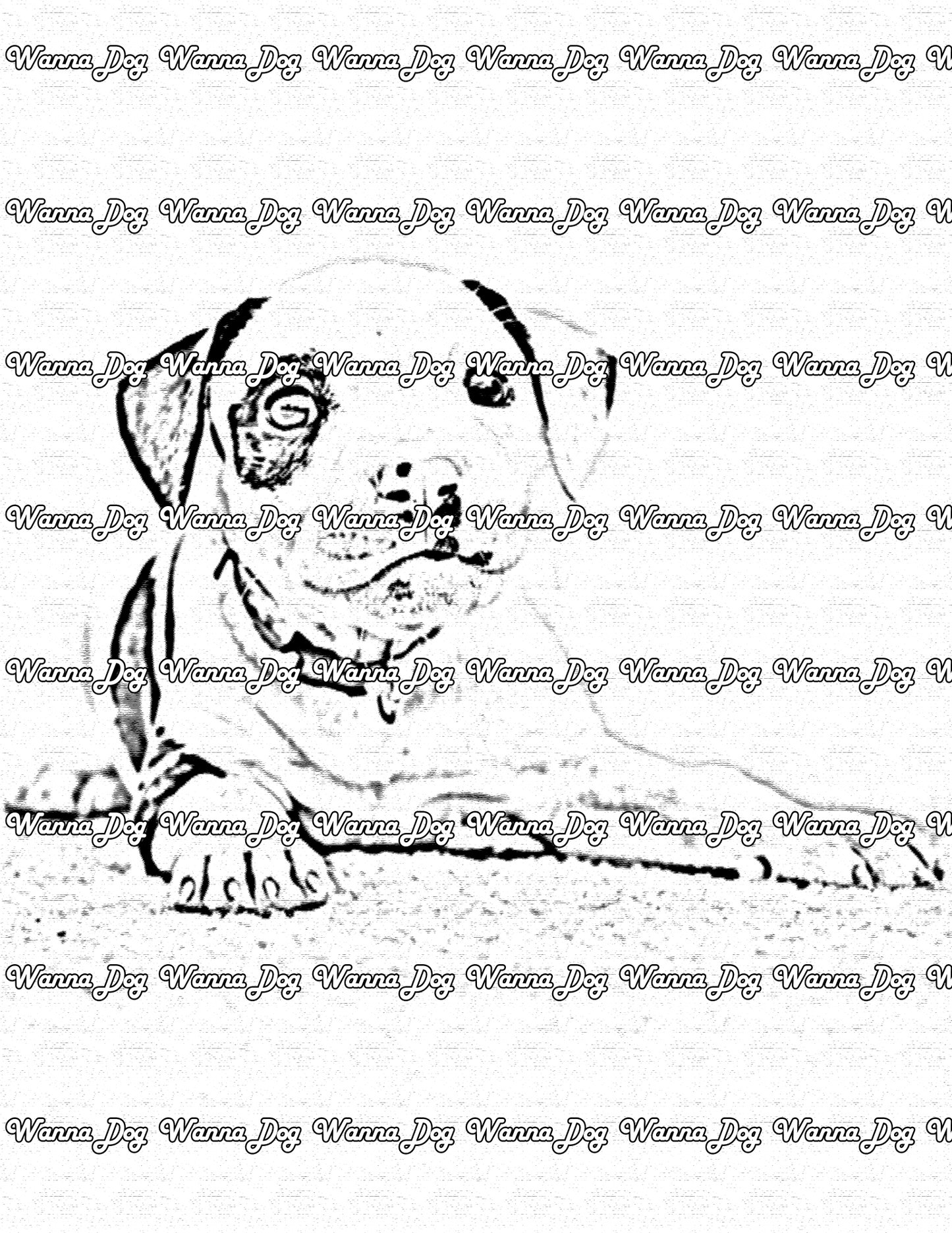 Pitbull Puppy Coloring Page of a Pitbull Puppy laying down