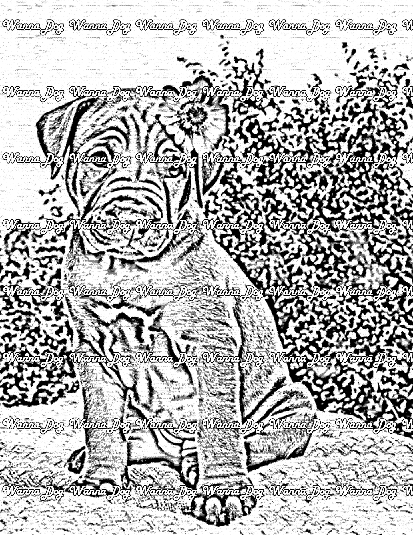 Pitbull Puppy Coloring Page of a Pitbull Puppy with a flower in their ear