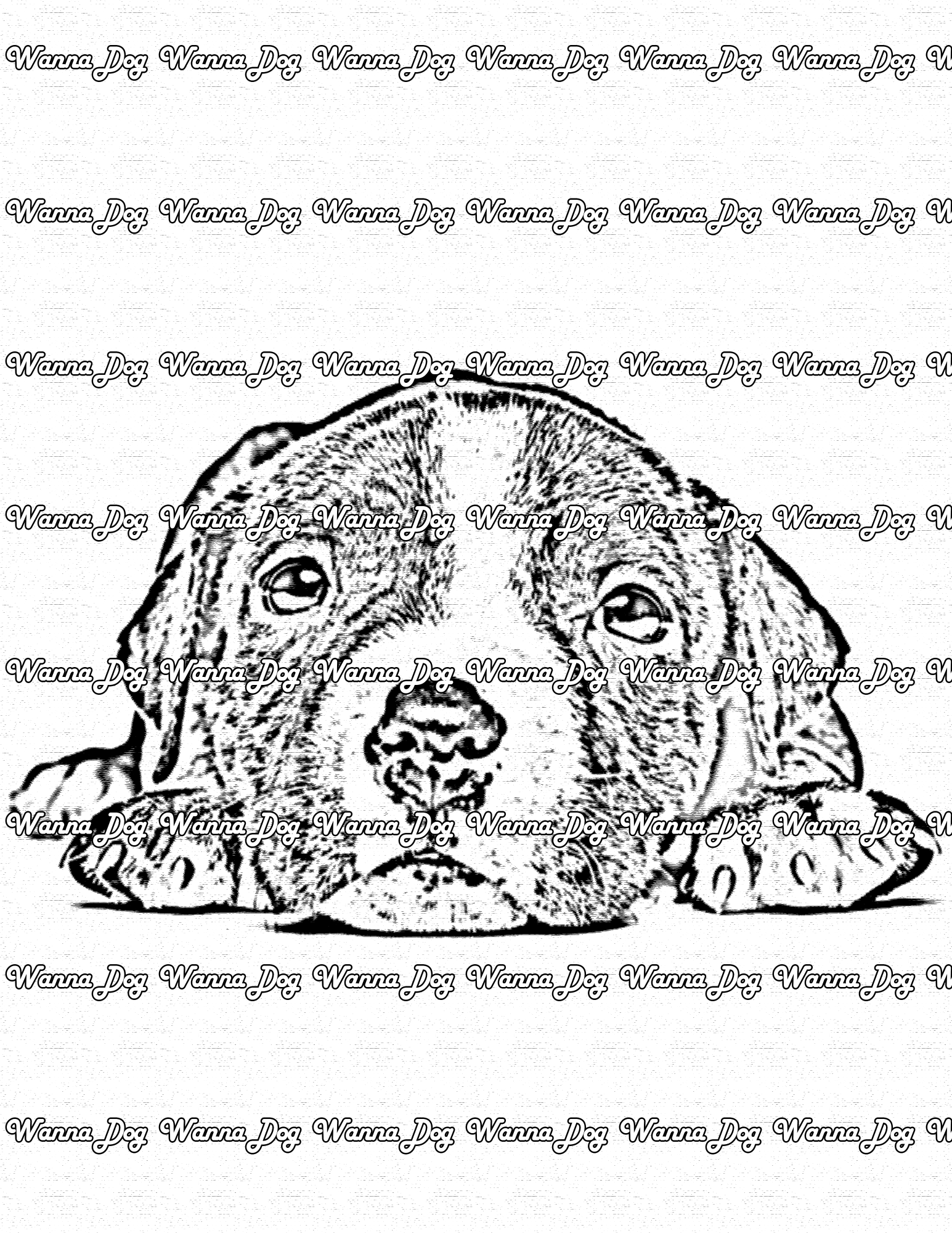 Pitbull Puppy Coloring Page of a Pitbull Puppy laying down and looking at the camera