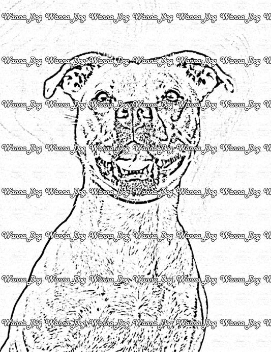 Pitbull Coloring Pages of a Pitbull close up sitting with their tongue out