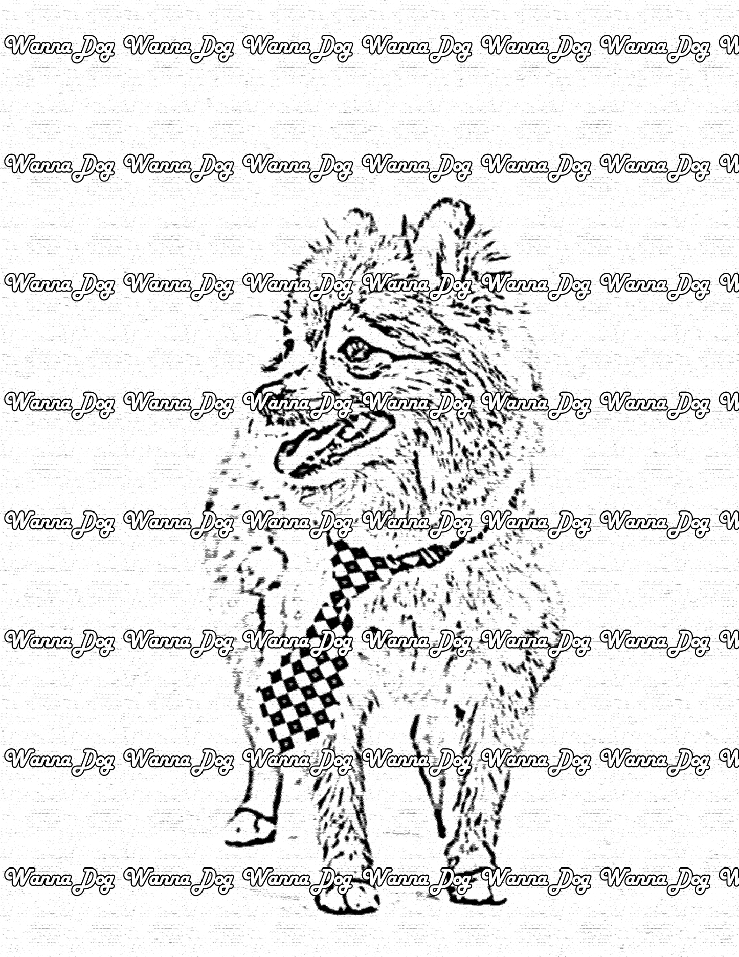 Pomeranian Coloring Page of a Pomeranian in a tie, getting ready to go to the office
