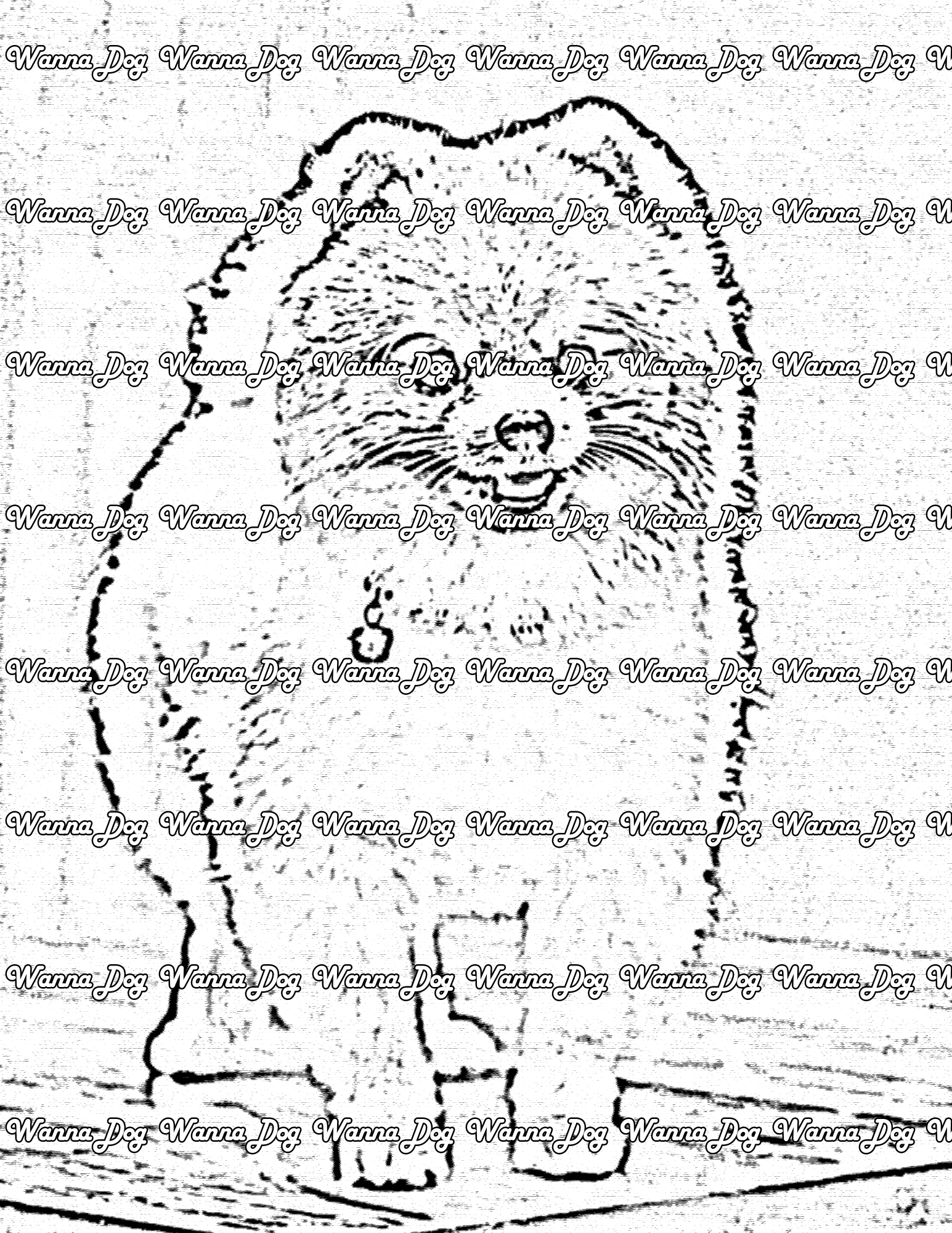 Pomeranian Coloring Page of a Pomeranian standing up in the house