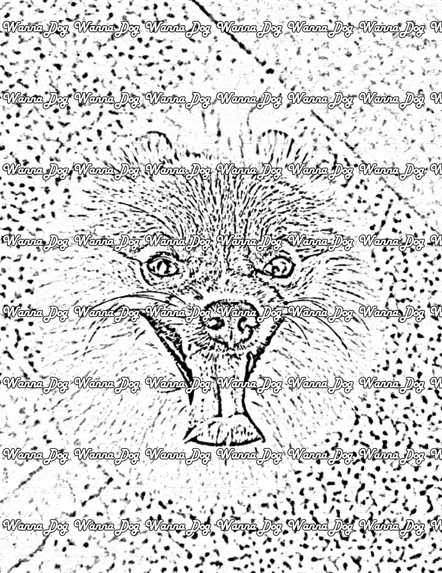 Pomeranian Coloring Page of a Pomeranian looking up with their tongue out