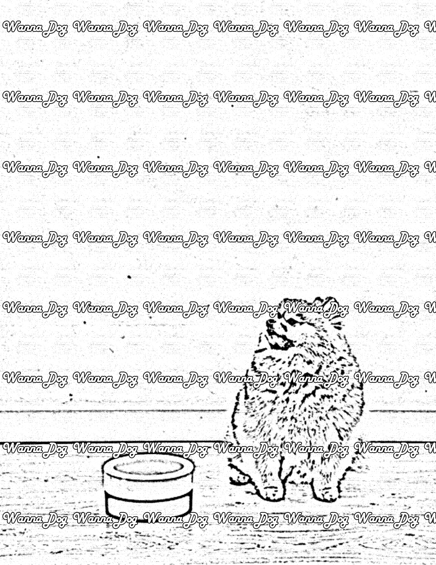 Pomeranian Coloring Page of a Pomeranian waiting to get fed
