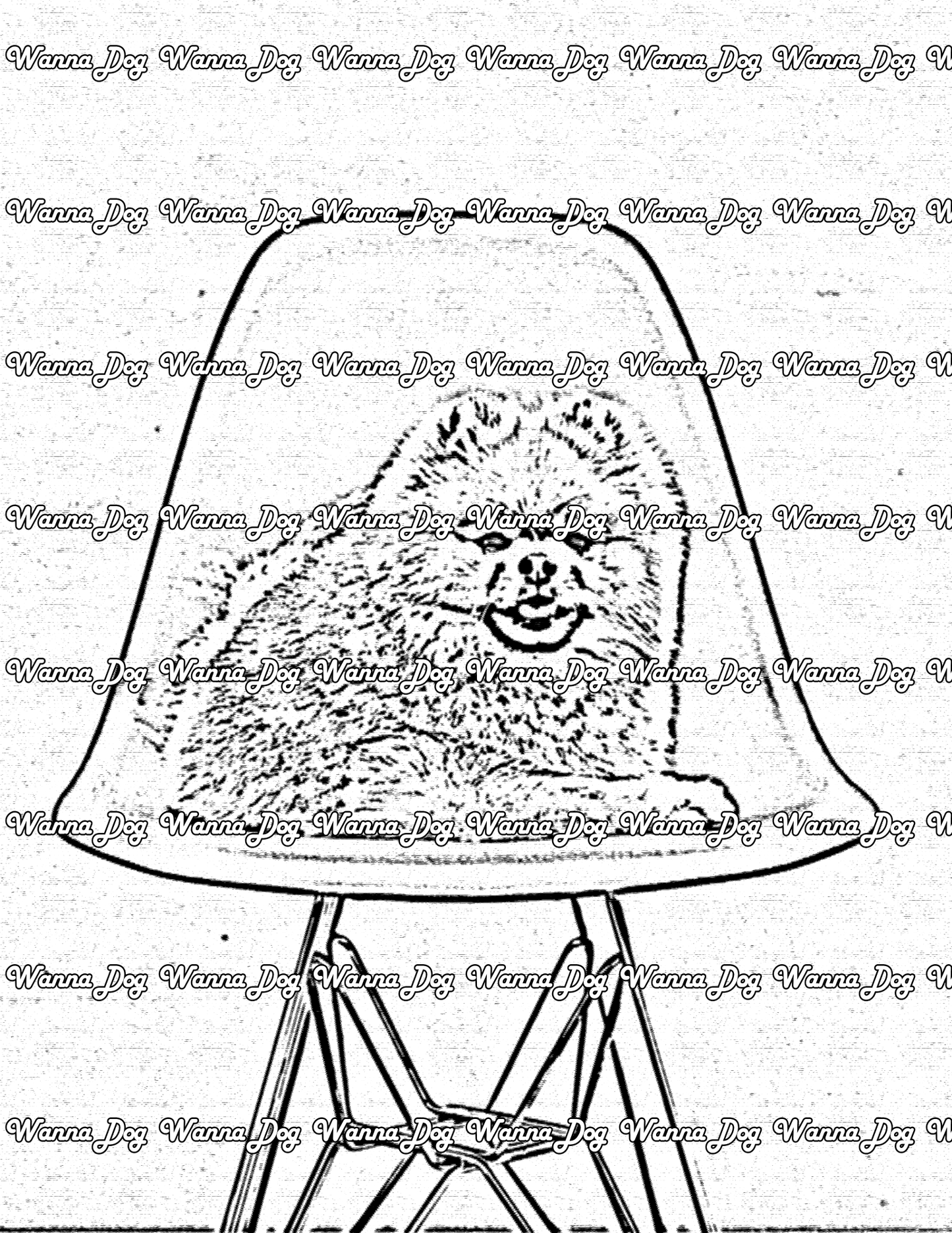Pomeranian Coloring Page of a Pomeranian sitting on a chair