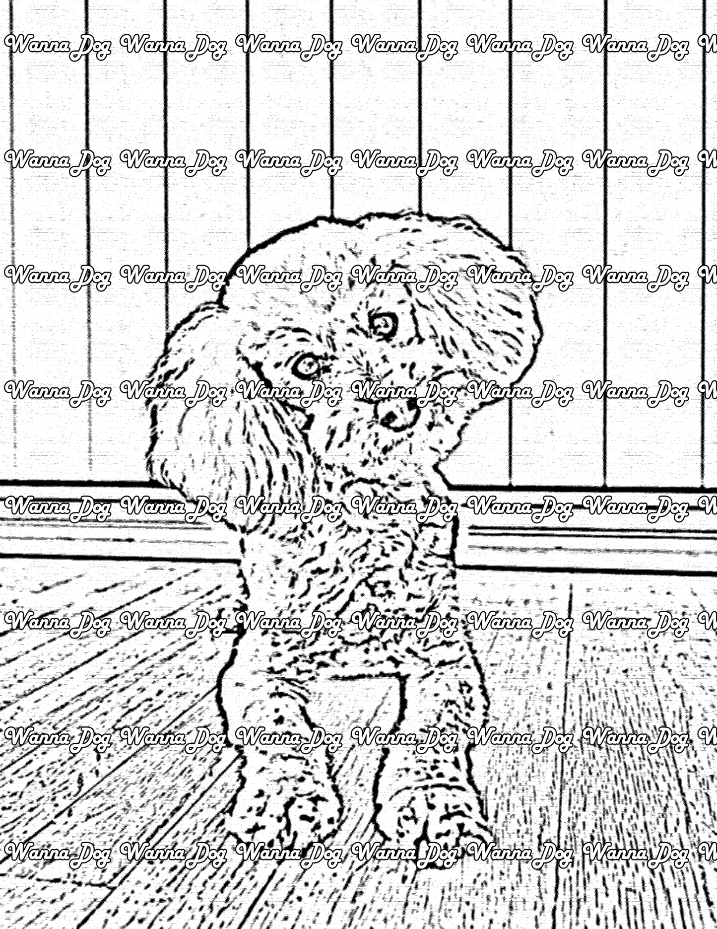 Poodle Coloring Page of a Poodle tilting their head