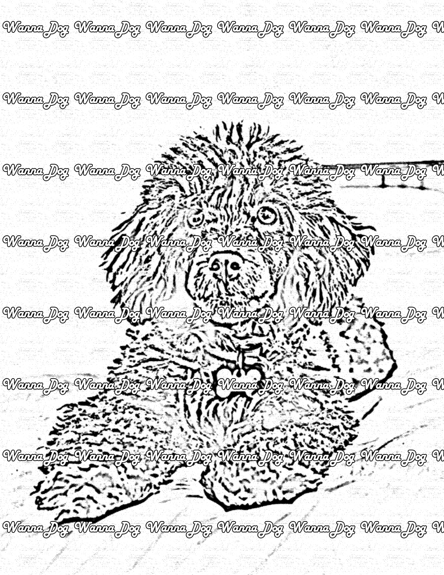 Poodle Coloring Page of a Poodle sitting outside