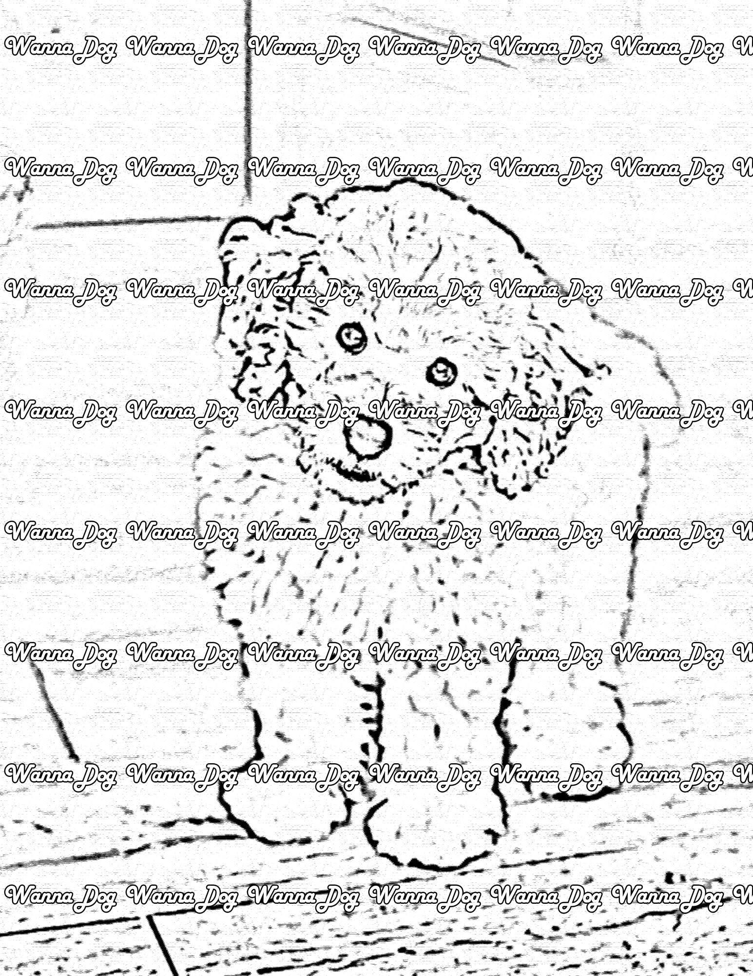 Poodle Coloring Page of a Poodle hanging around the house