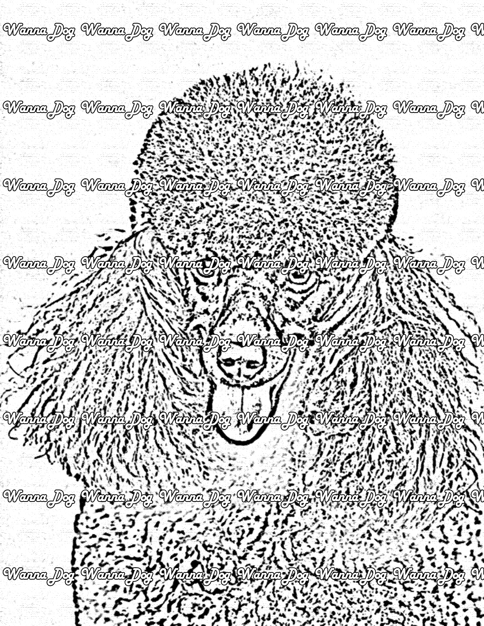 Poodle Coloring Page of a Poodle with their tongue out
