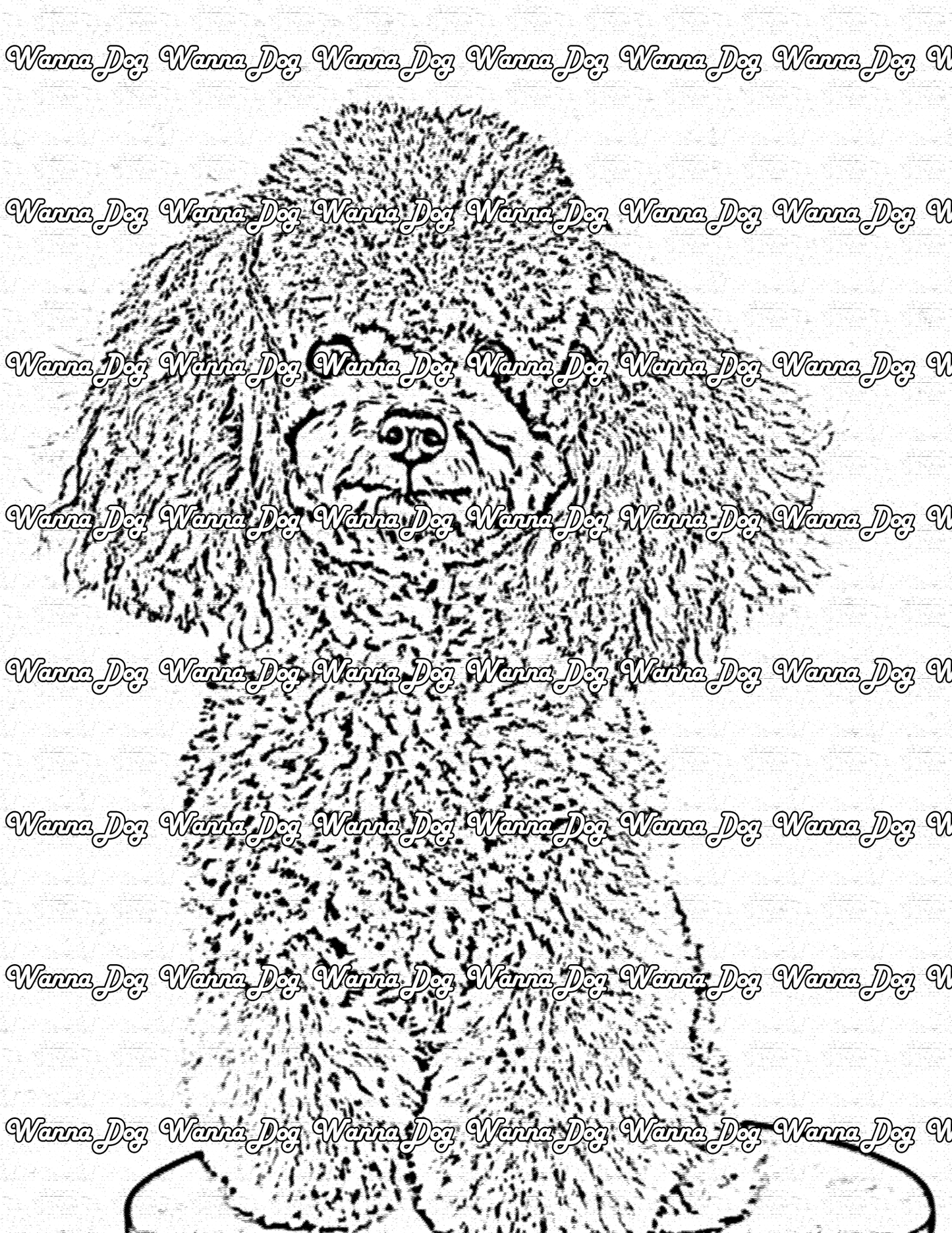 Poodle Coloring Page of a Poodle sitting on a chair