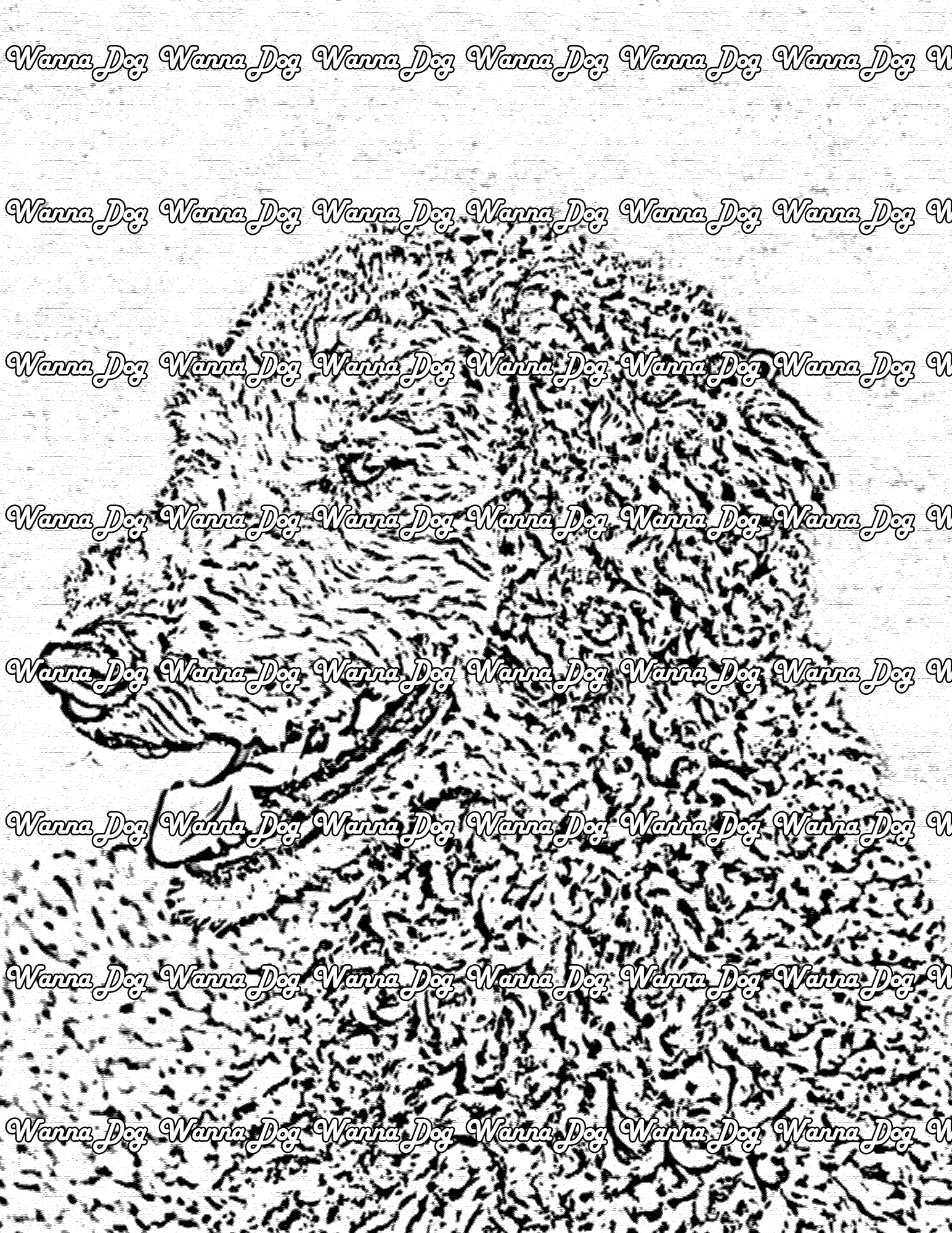 Poodle Coloring Page of a Poodle with their tongue out and looking to their side