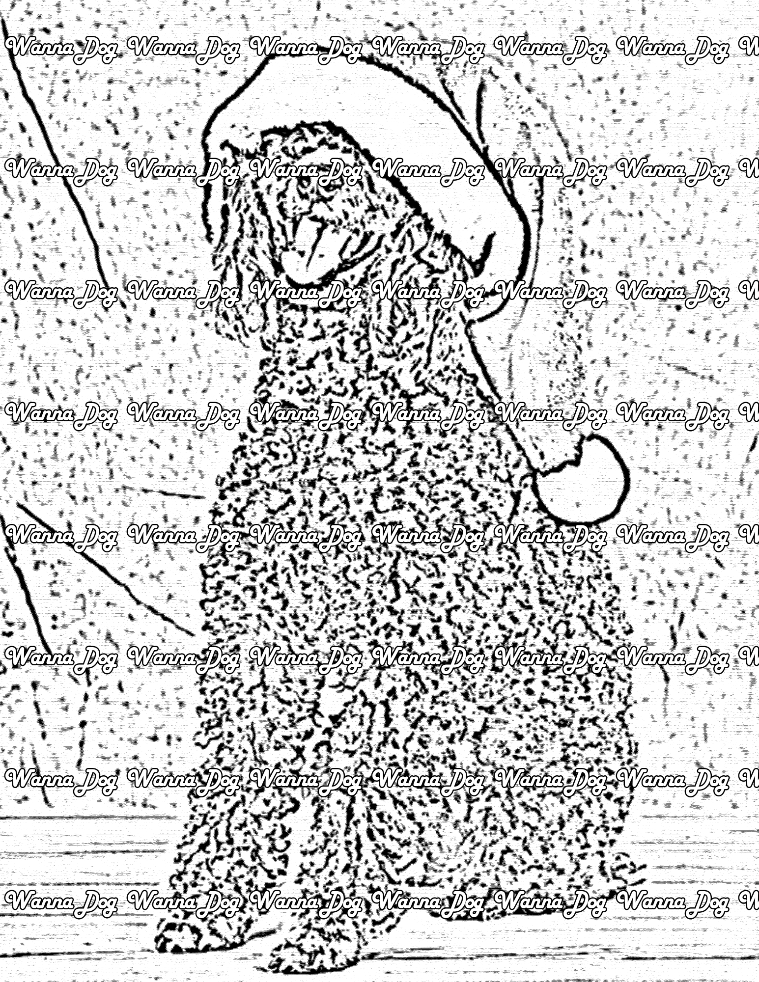 Poodle Coloring Page of a Poodle wearing a santa hat