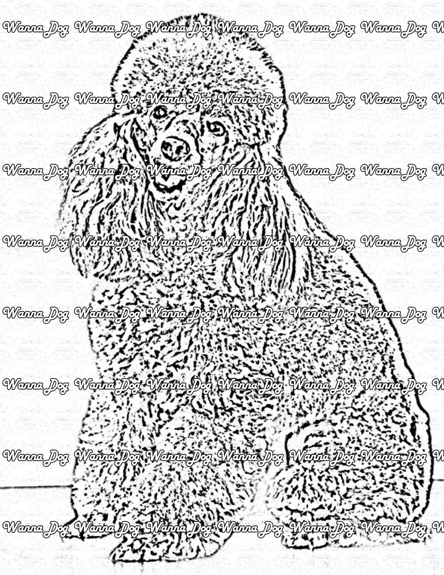 Poodle Coloring Page of a Poodle posing