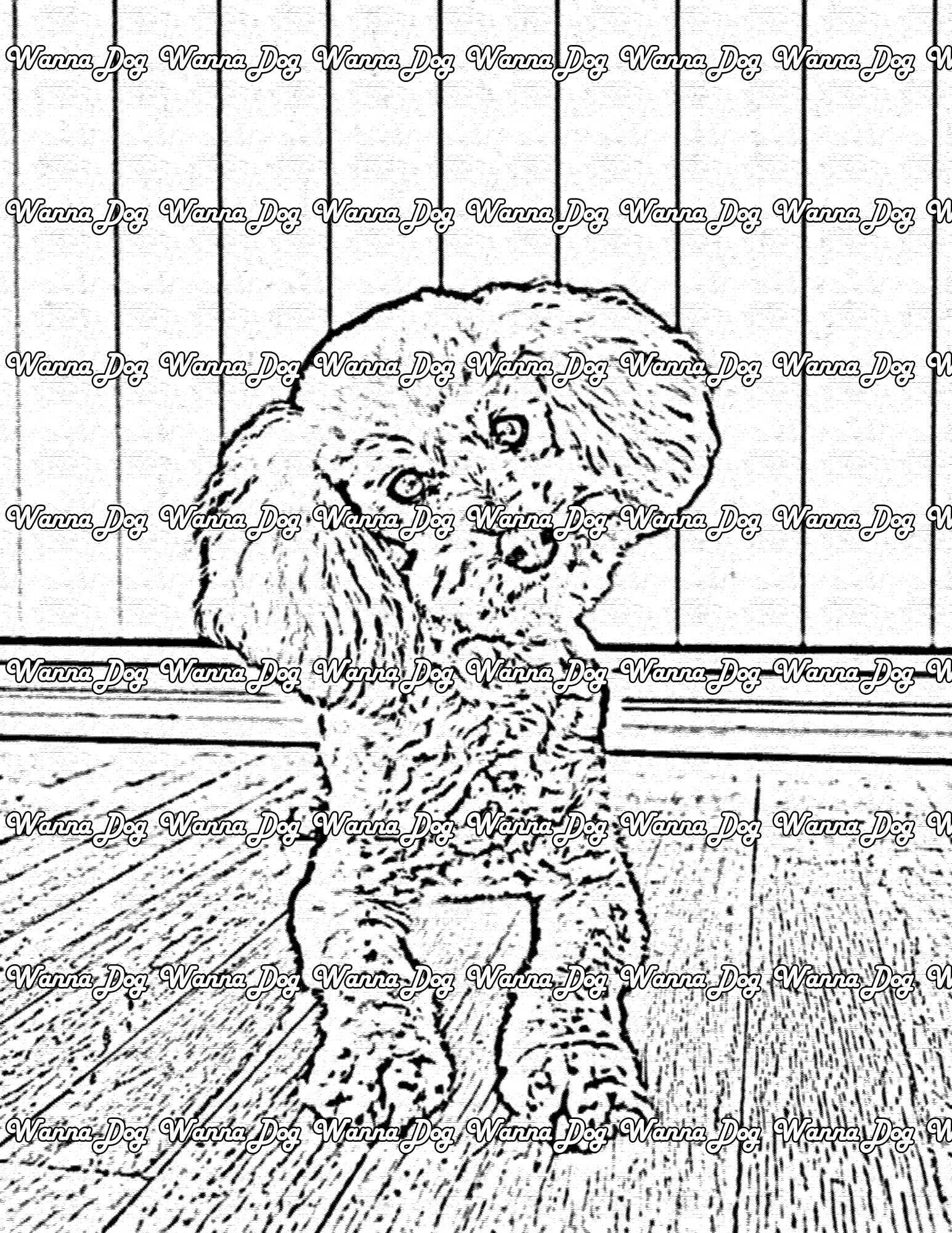 Poodle Coloring Page of a Poodle tilting their head
