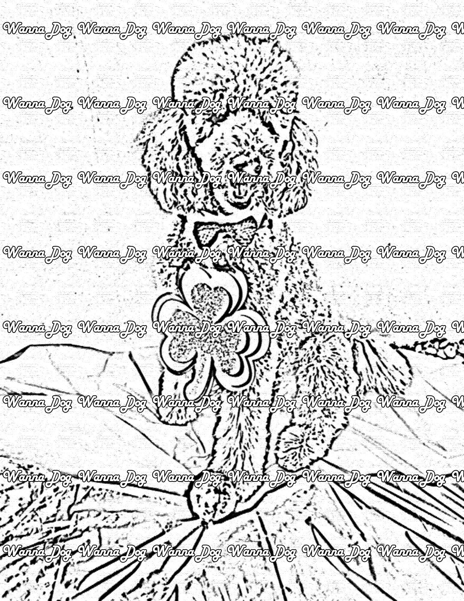 Poodle Coloring Page of a Poodle wearing a shamrock necklace