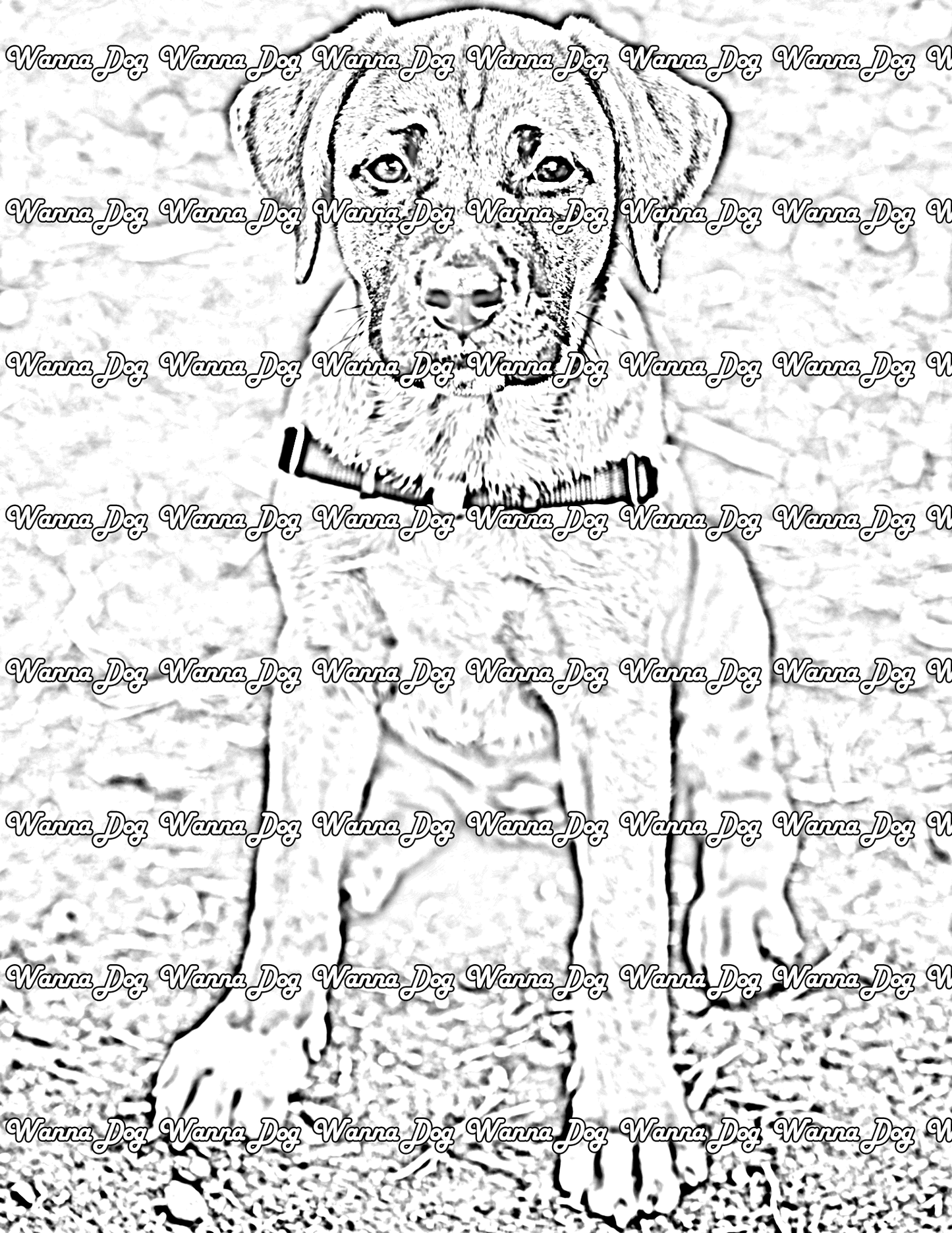 Rhodesian Ridgeback Coloring Page of a Rhodesian Ridgeback puppy sitting and waiting for a treat