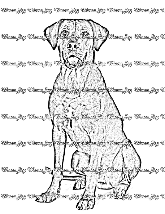 Rhodesian Ridgeback Coloring Page of a Rhodesian Ridgeback sitting with their tongue out