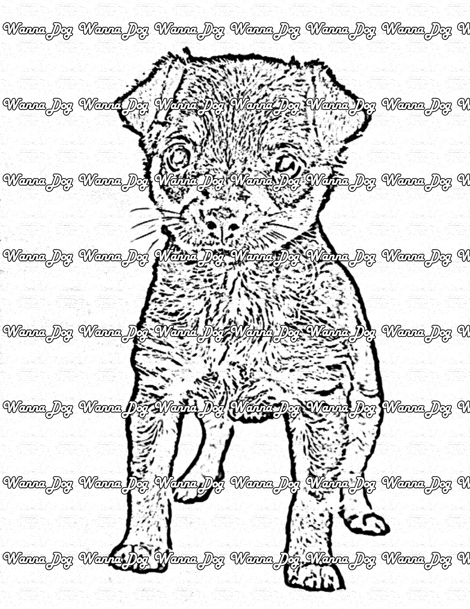 Rottweiler Coloring Page of a Rottweiler puppy posing