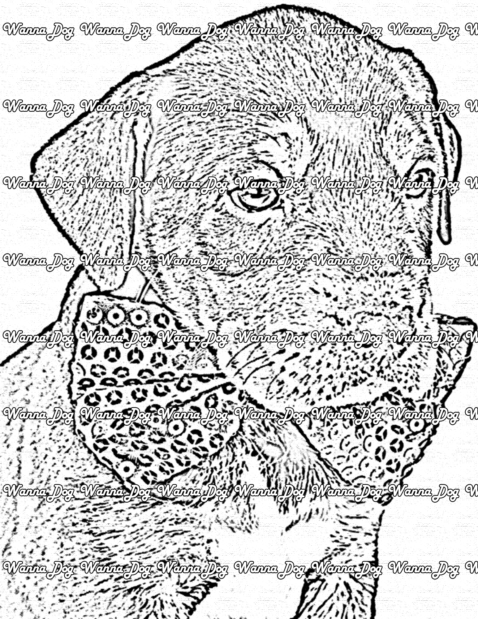 Rottweiler Coloring Page of a Rottweiler with a bowtie
