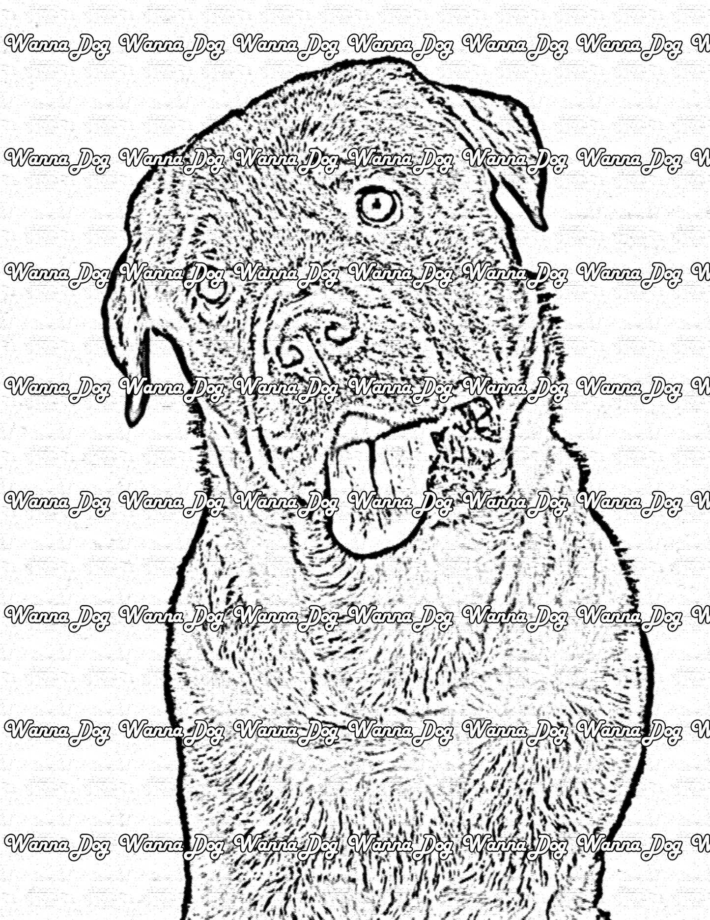 Rottweiler Coloring Page of a Rottweiler close up tilting their head and their tongue
