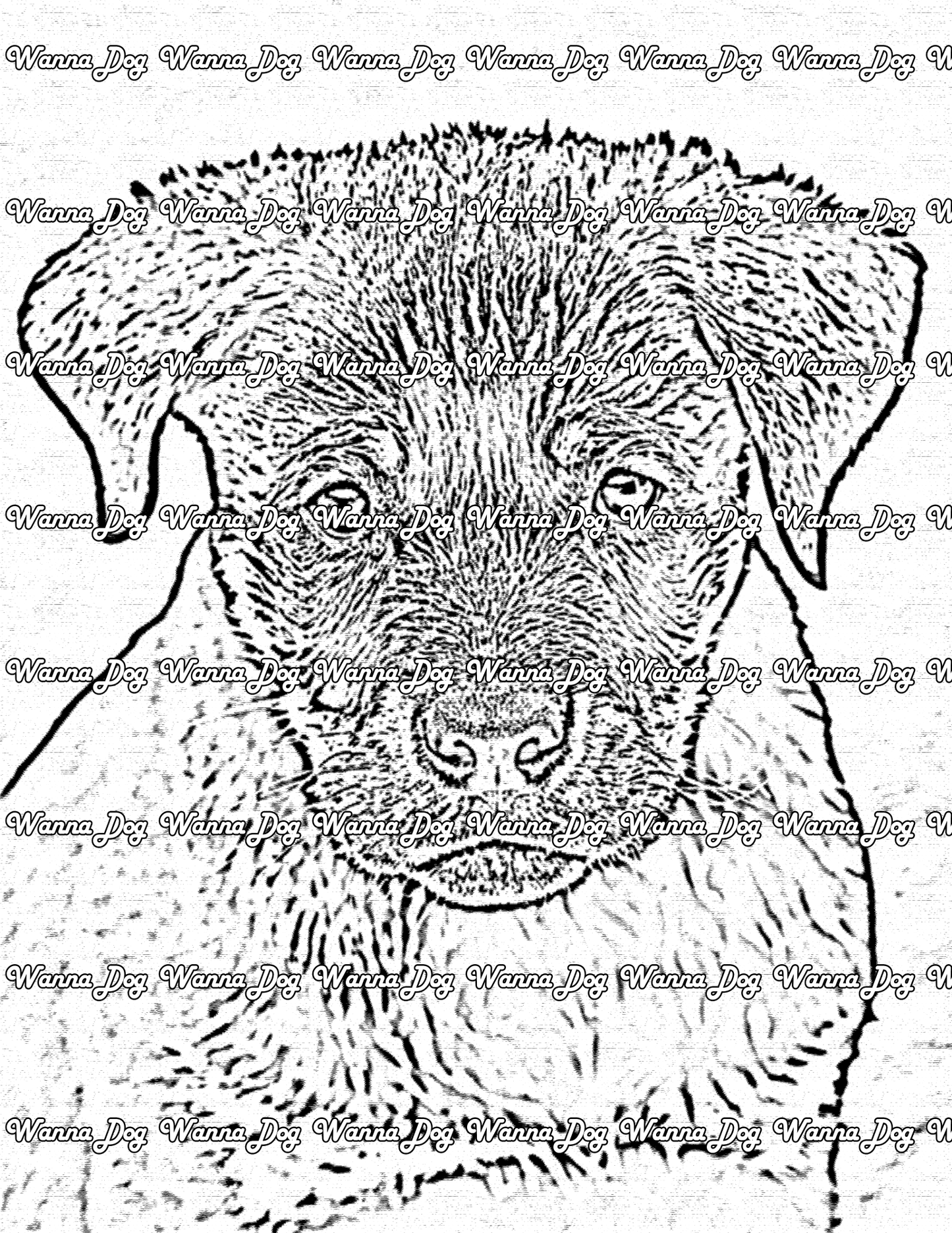 Rottweiler Coloring Page of a Rottweiler puppy looking into the camera