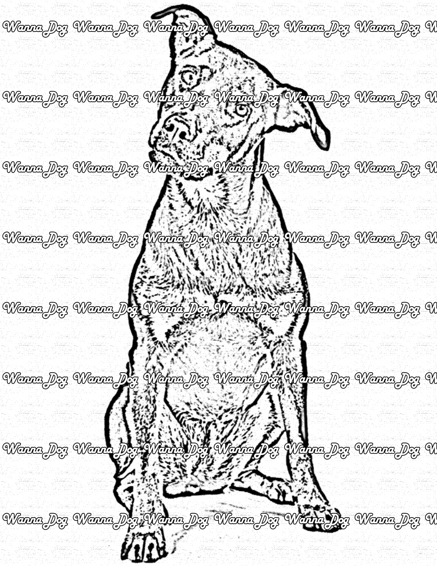 Rottweiler Coloring Page of a Rottweiler sitting and tilting their head