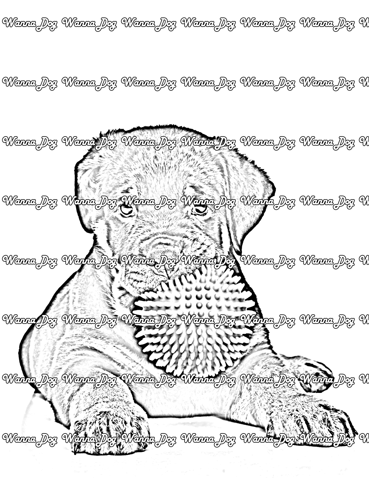 Rottweiler Puppy Coloring Page of a Rottweiler Puppy sitting down and playing with a ball