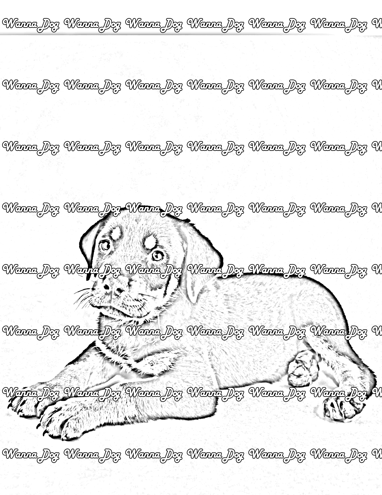 Rottweiler Puppy Coloring Page of a Rottweiler Puppy sitting down and waiting
