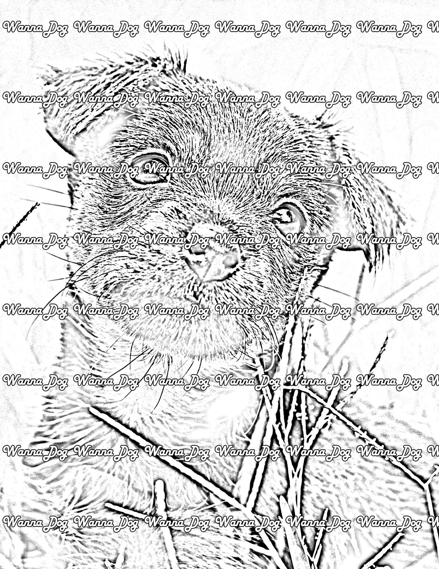 Rottweiler Puppy Coloring Page of a Rottweiler Puppy close up and outside