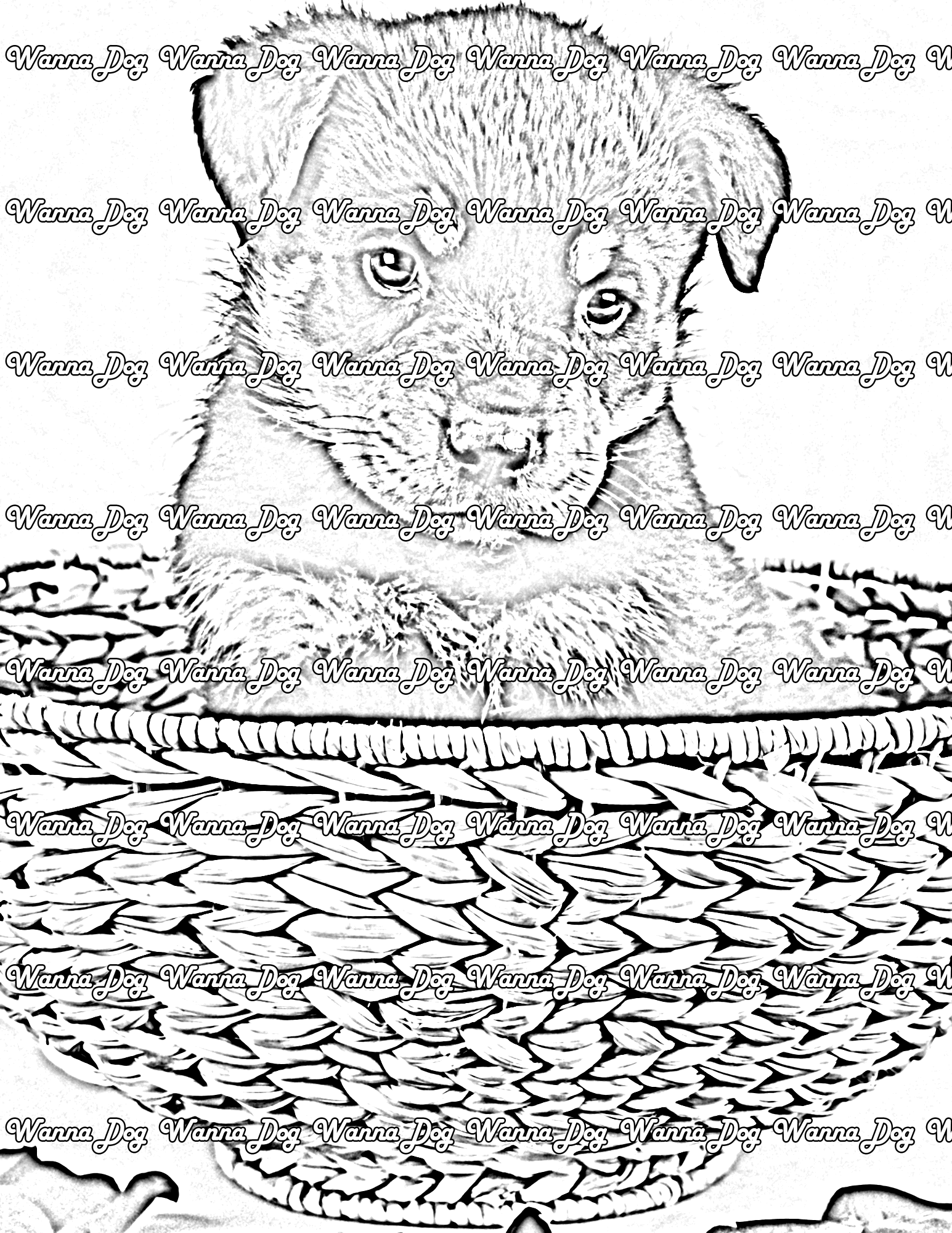 Rottweiler Puppy Coloring Page of a Rottweiler Puppy in a basket