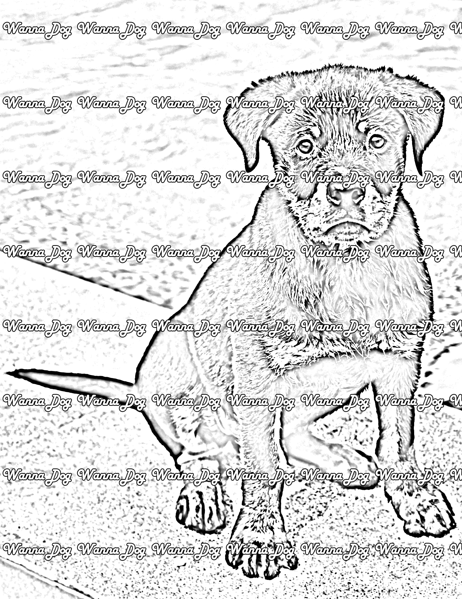 Rottweiler Puppy Coloring Page of a Rottweiler Puppy sitting by the pool