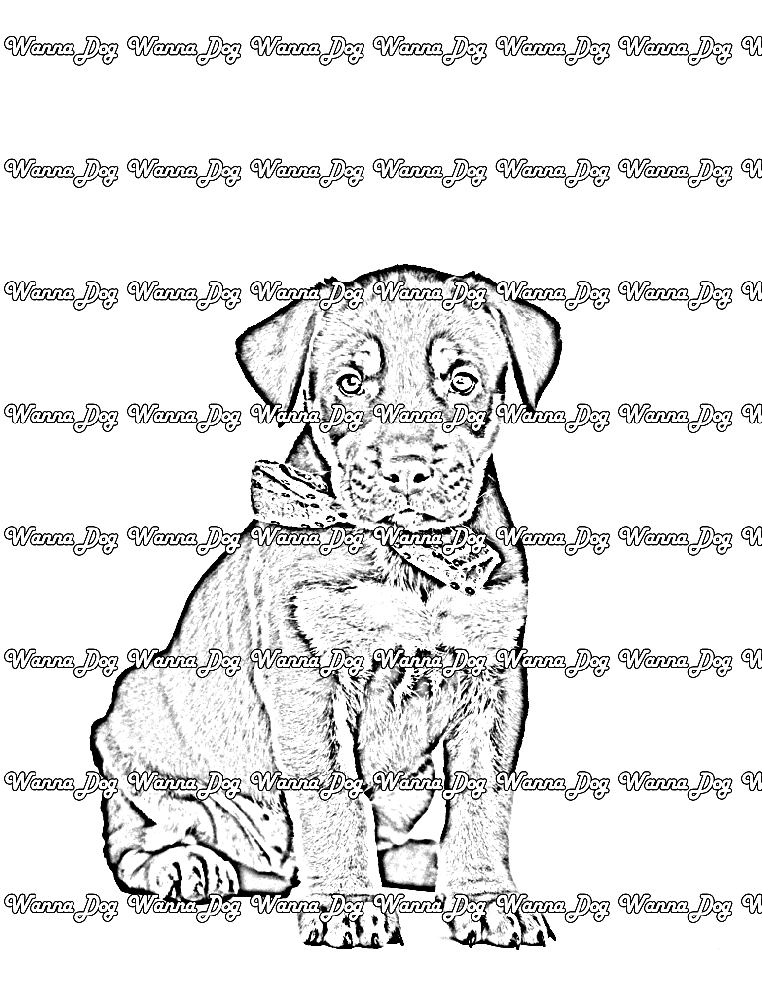 Rottweiler Puppy Coloring Page of a Rottweiler Puppy in a bowtie