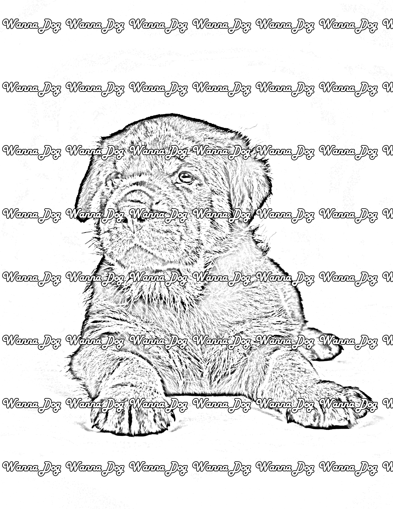 Rottweiler Puppy Coloring Page of a Rottweiler Puppy sitting down