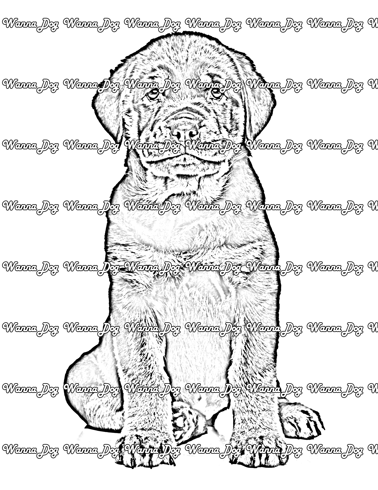 Rottweiler Puppy Coloring Page of a Rottweiler Puppy posing for the camera