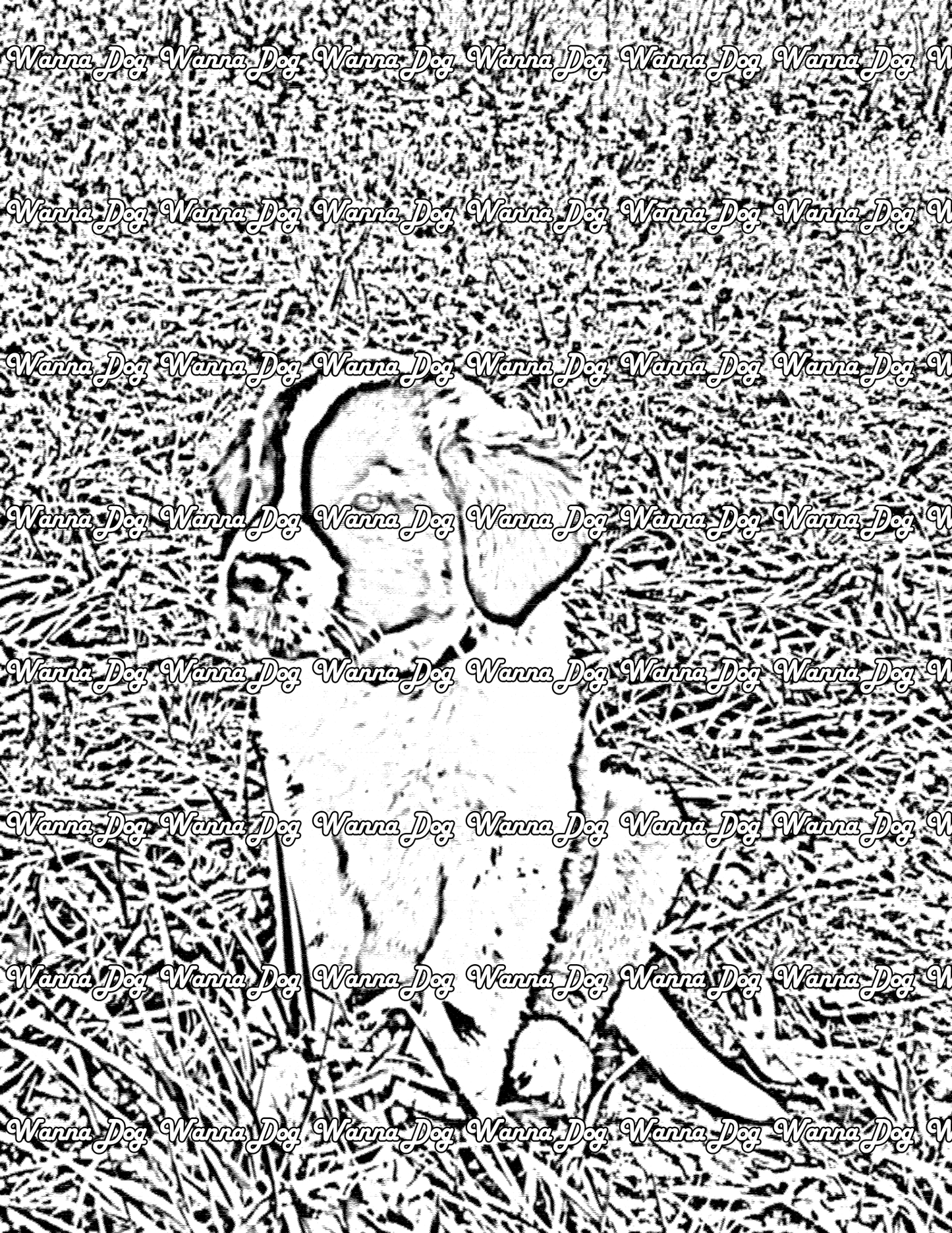 Saint Bernard Coloring Page of a Saint Bernard puppy sitting in the grass